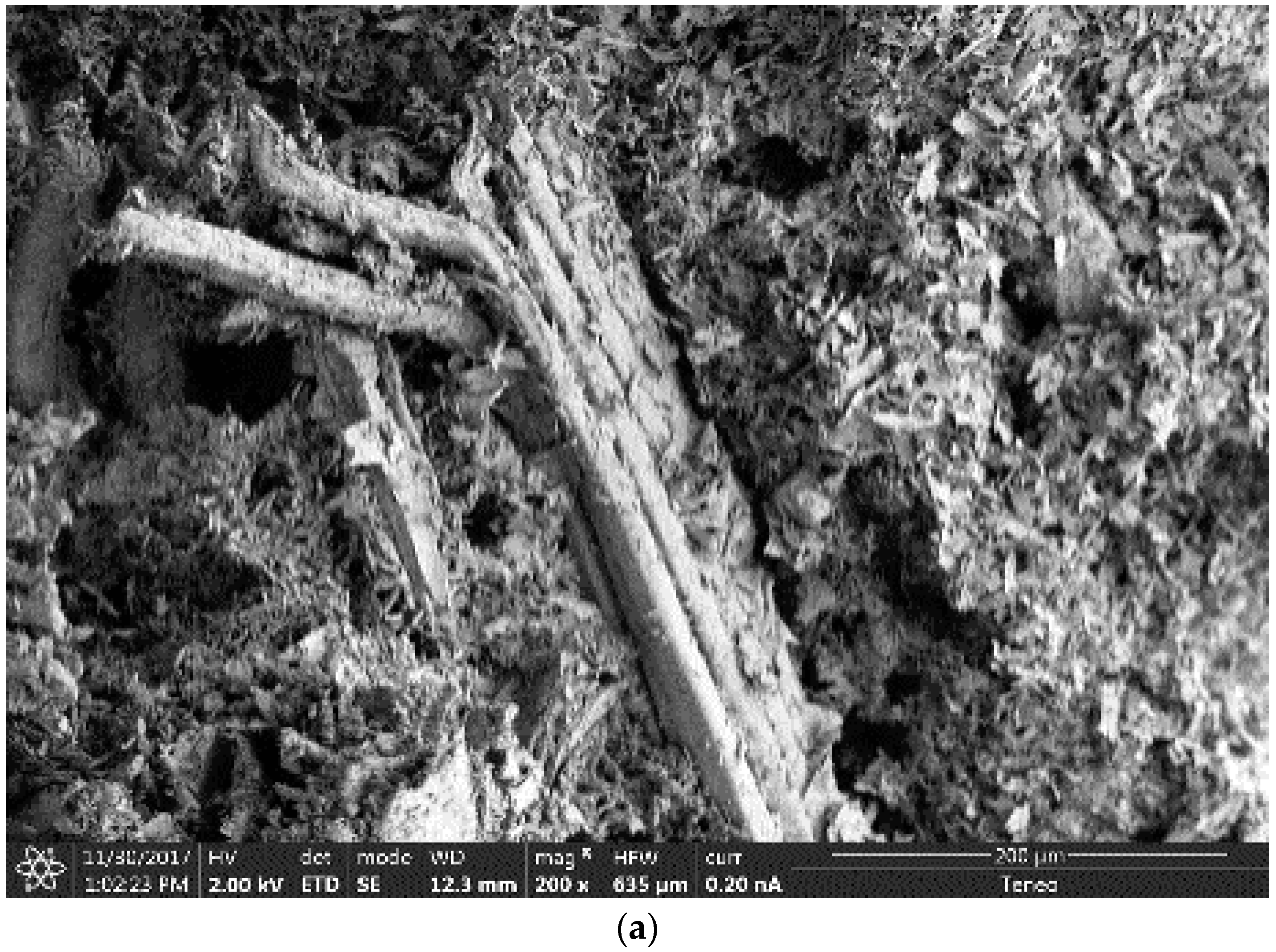 Materials 12 01829 g015a