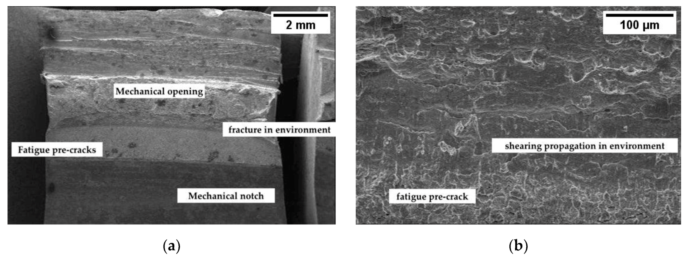 Materials 12 01843 g005