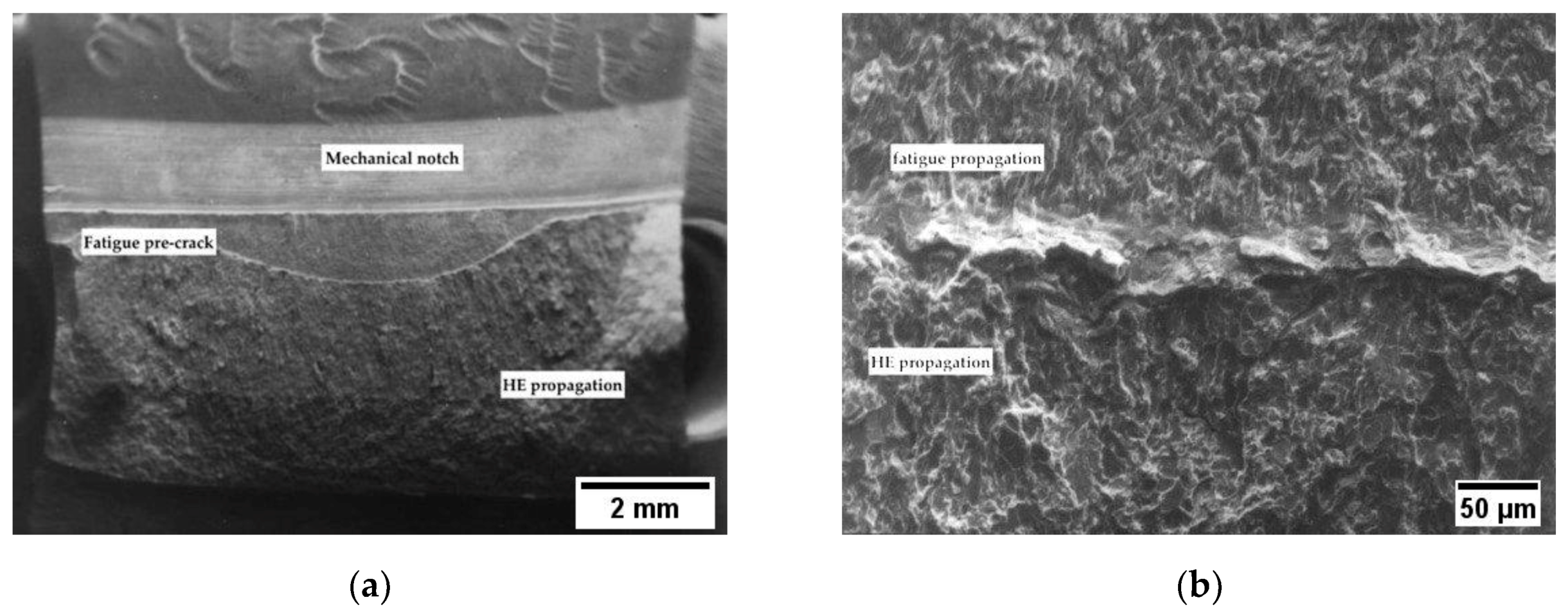 Materials 12 01843 g006