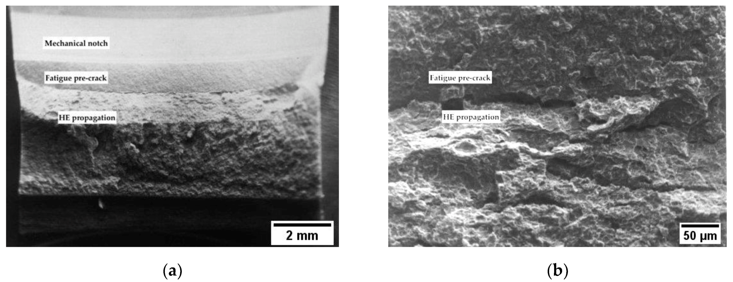 Materials 12 01843 g007