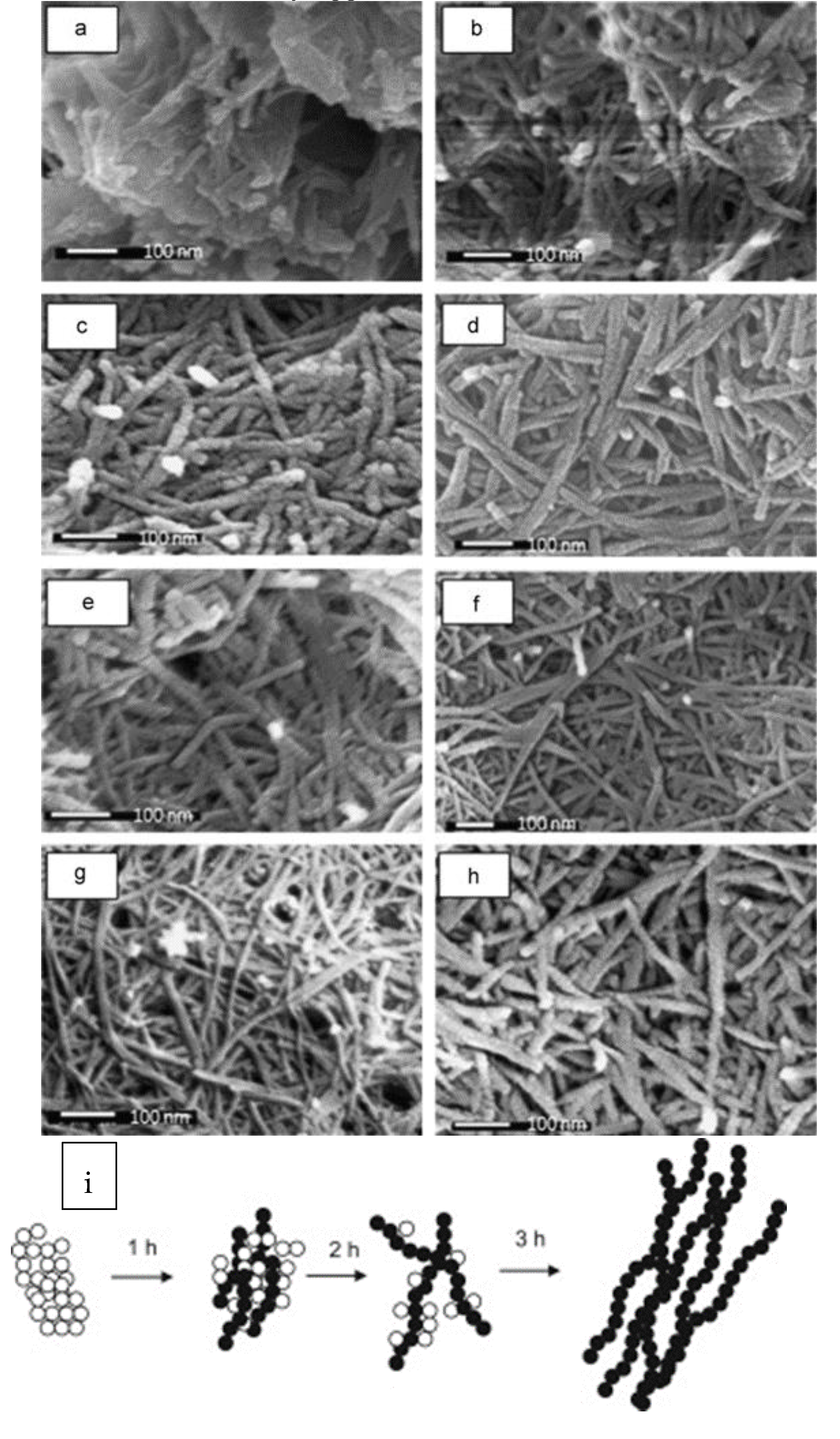 Materials 12 01853 g005