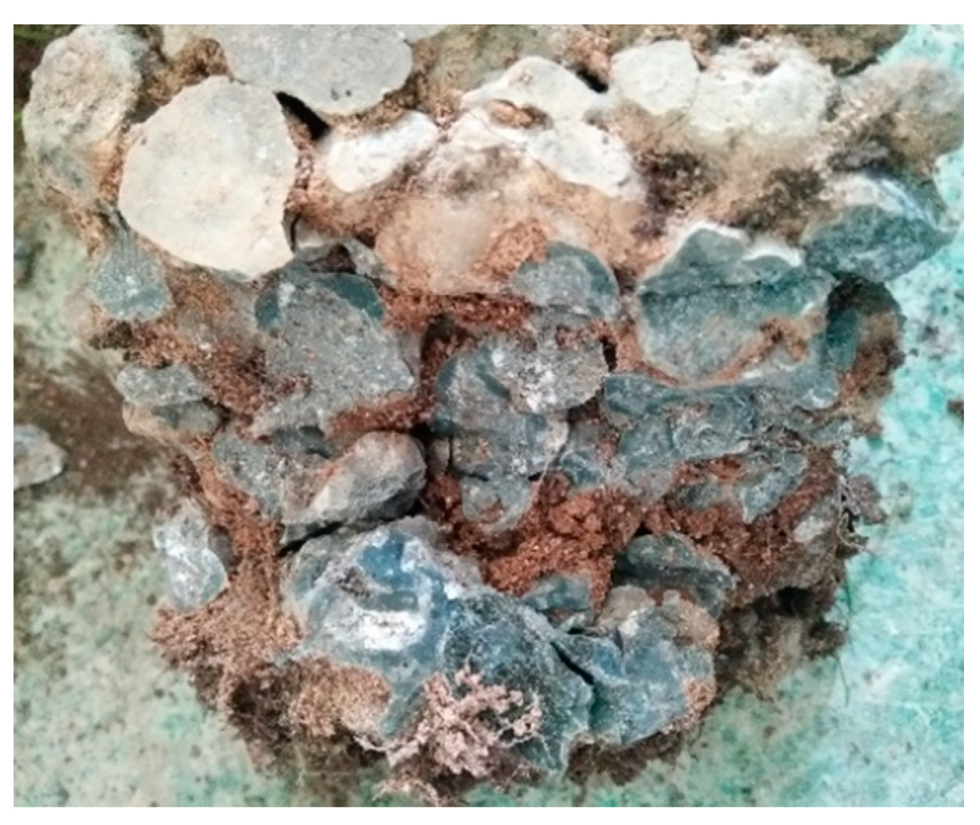 Materials 12 01855 g031 550