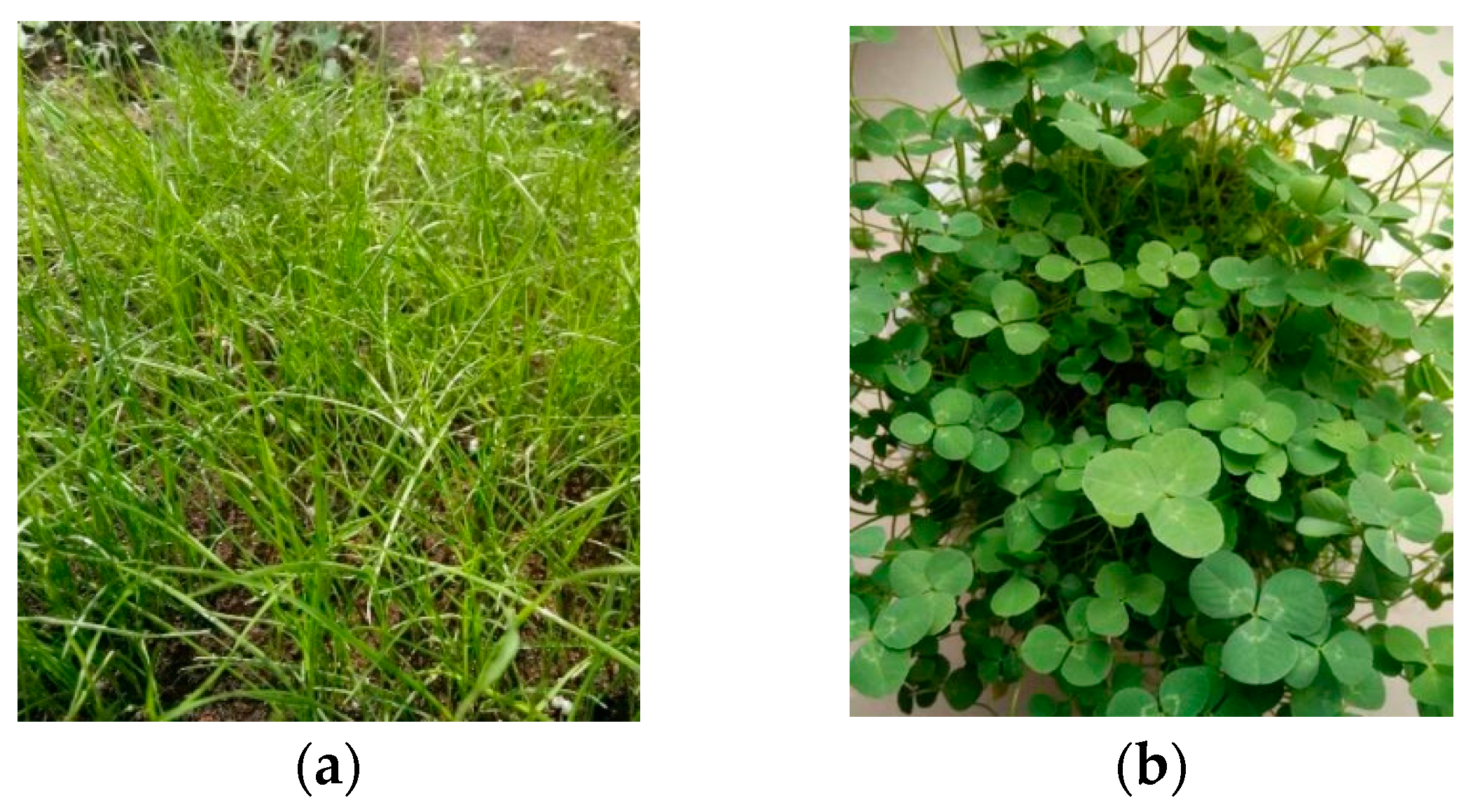 Materials 12 01855 g032a 550