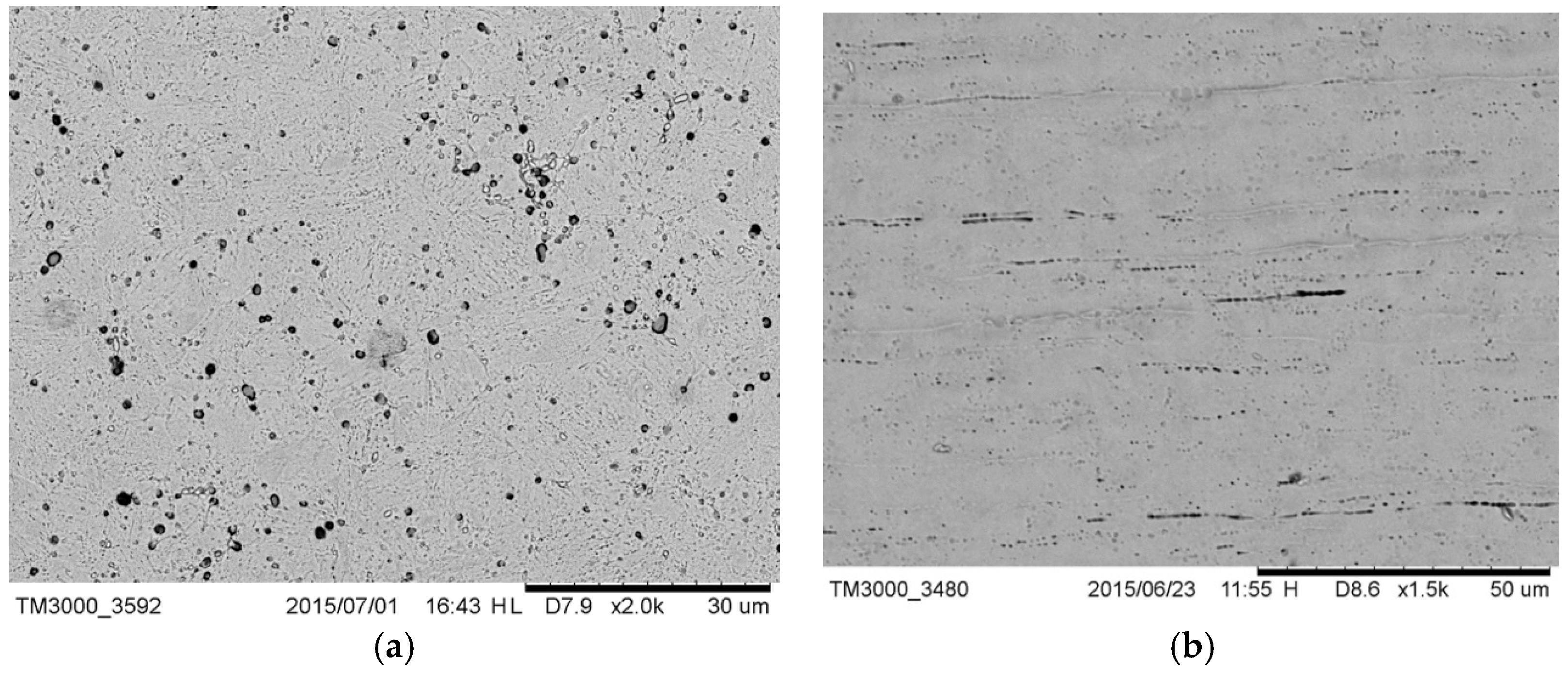 Materials 12 01866 g001 Materials 12 01866 g001