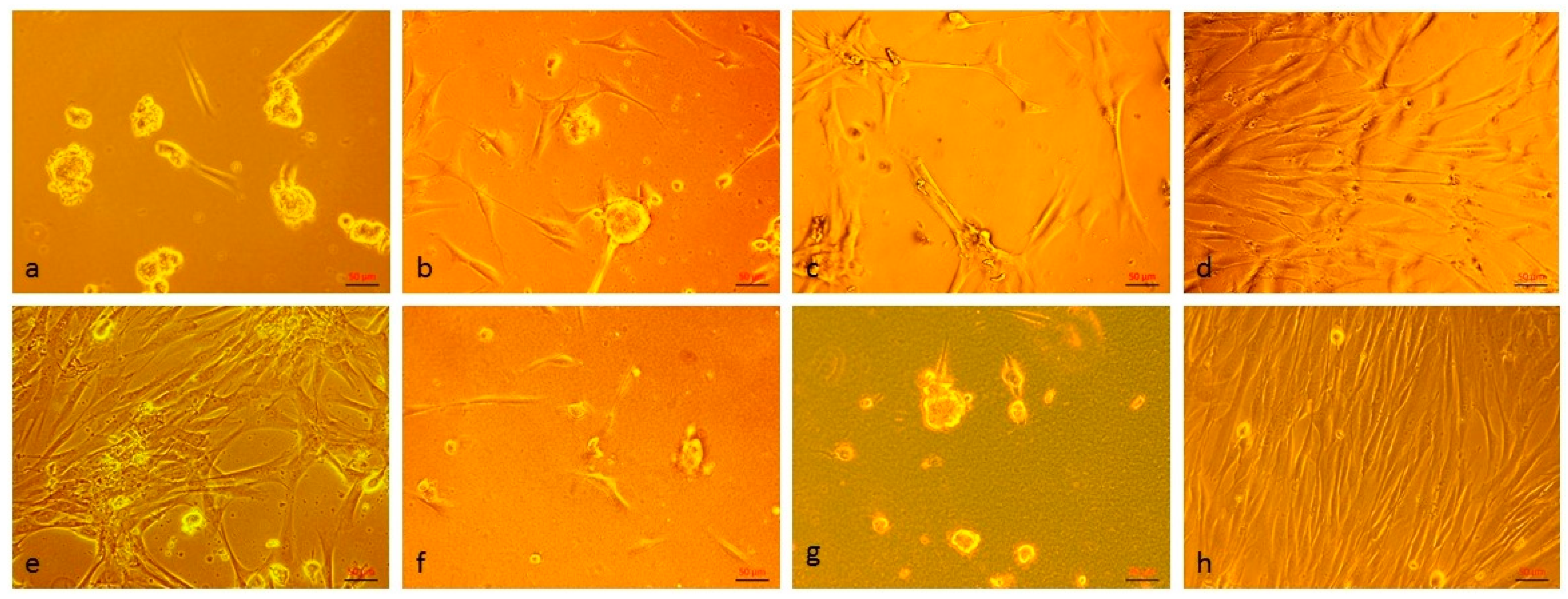 Materials 12 01874 g007