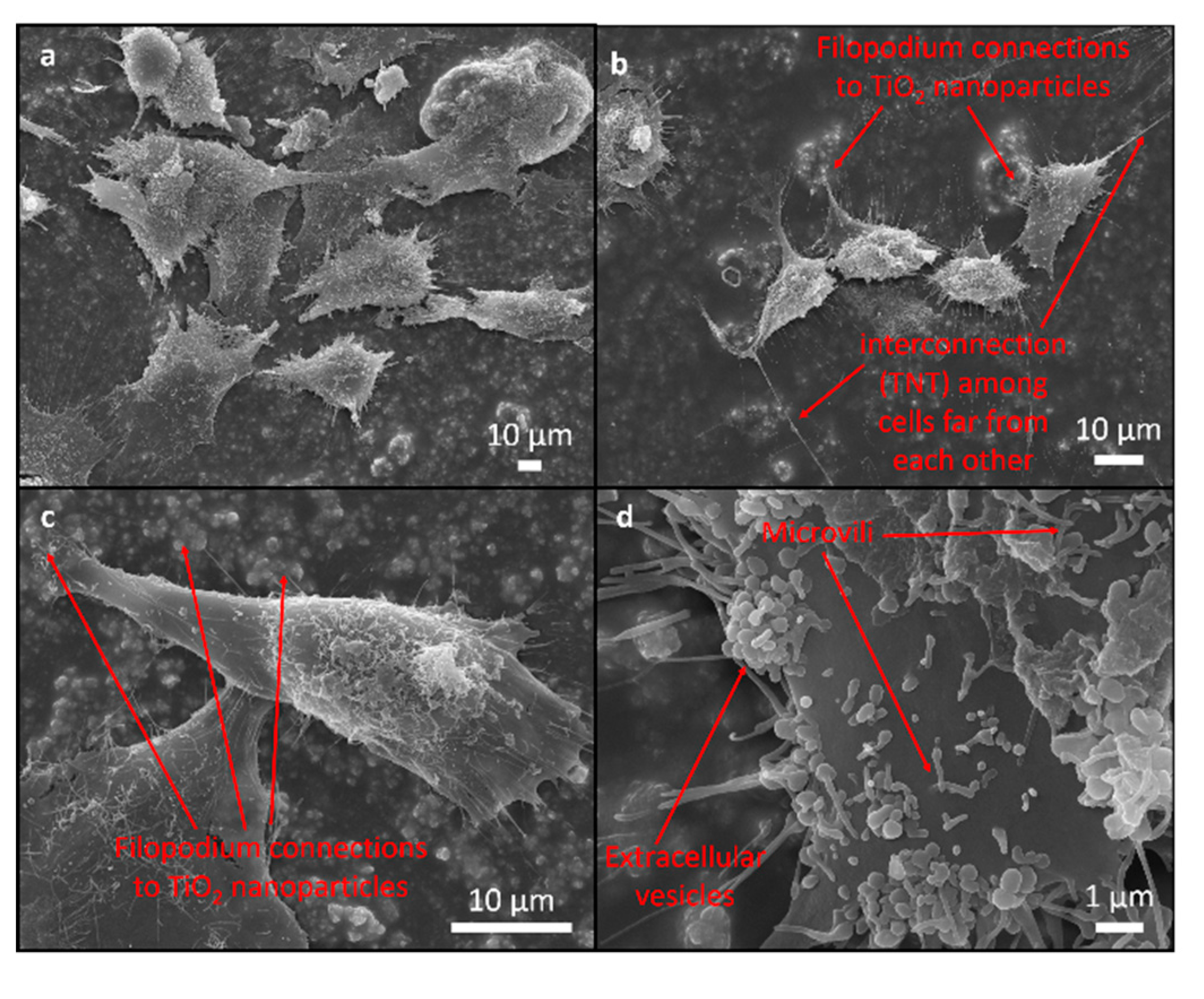 Materials 12 01877 g006 Materials 12 01877 g006
