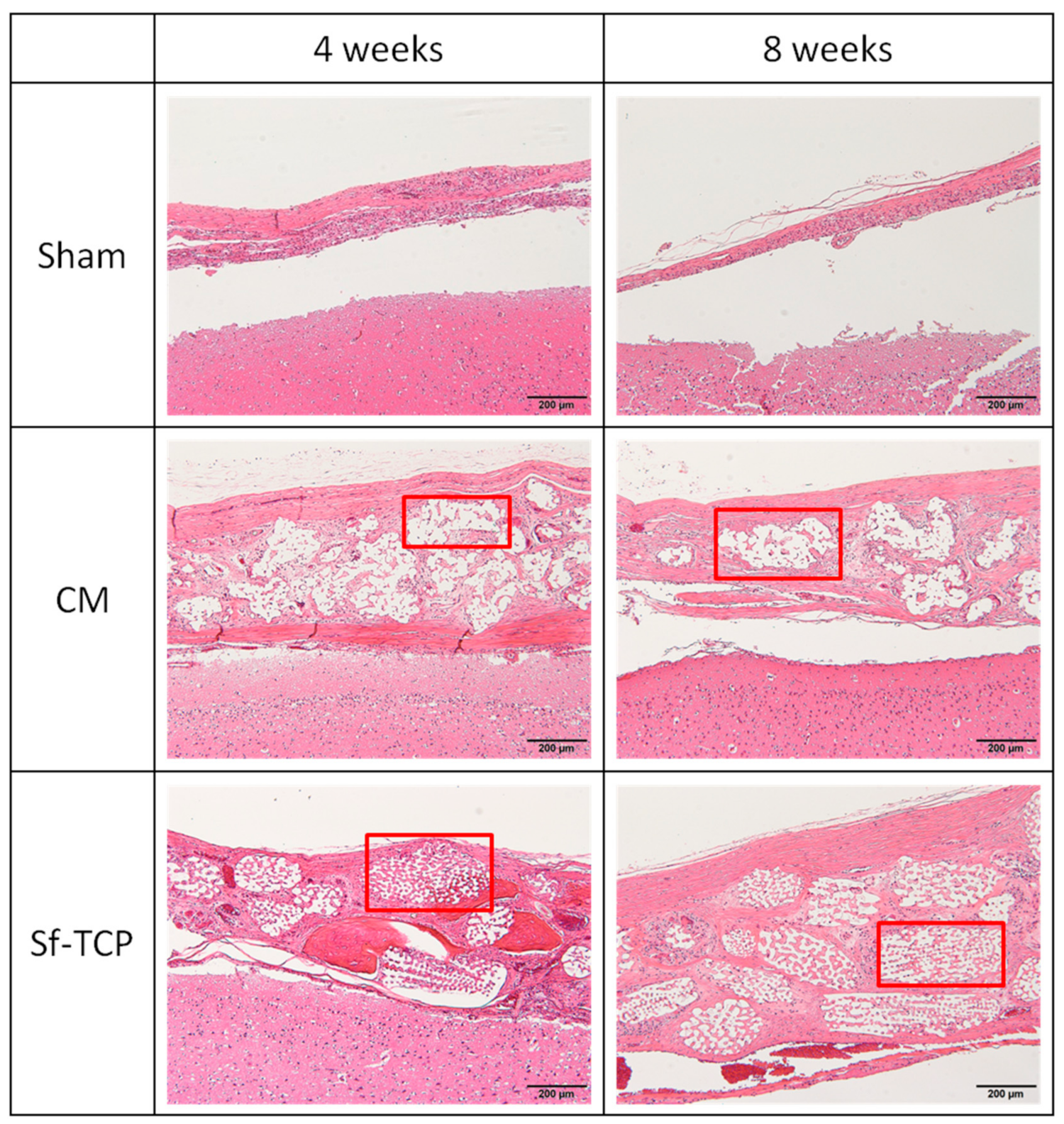 Materials 12 01881 g006 550