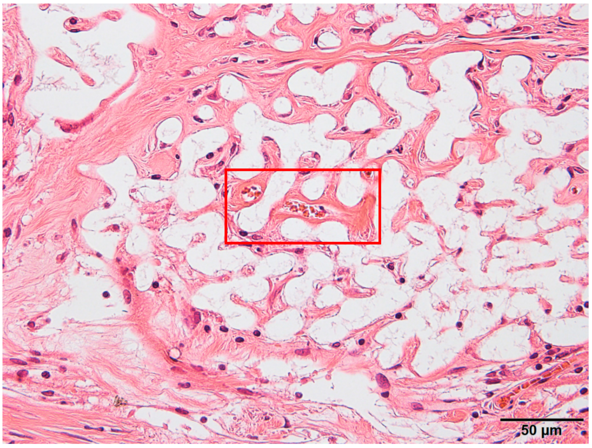 Materials 12 01881 g007 550