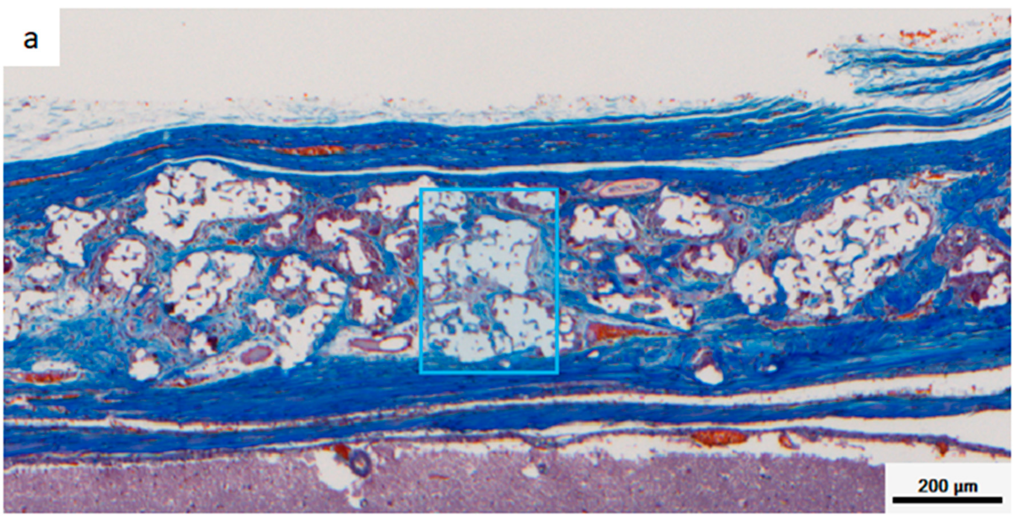 Materials 12 01881 g008a 550