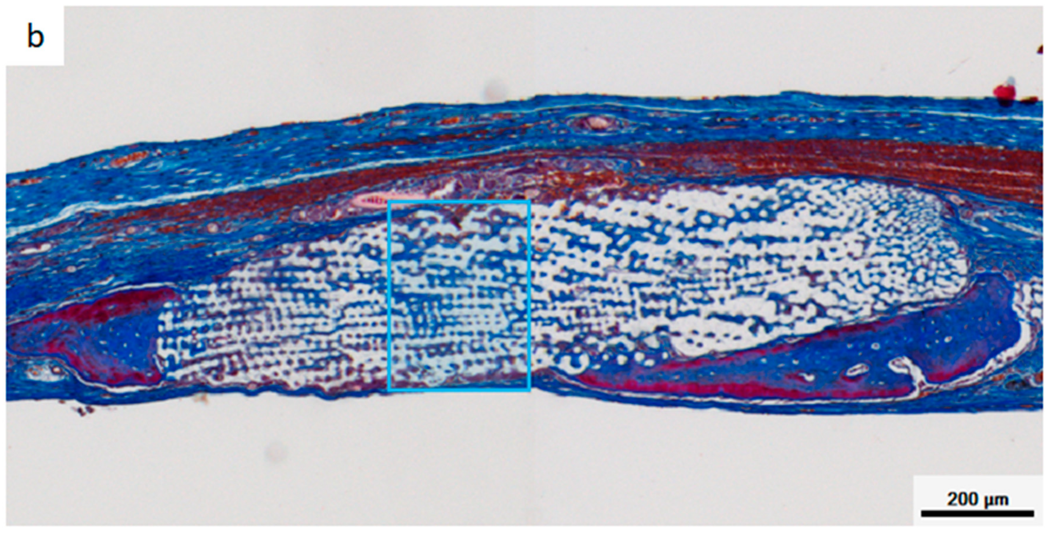 Materials 12 01881 g008b 550