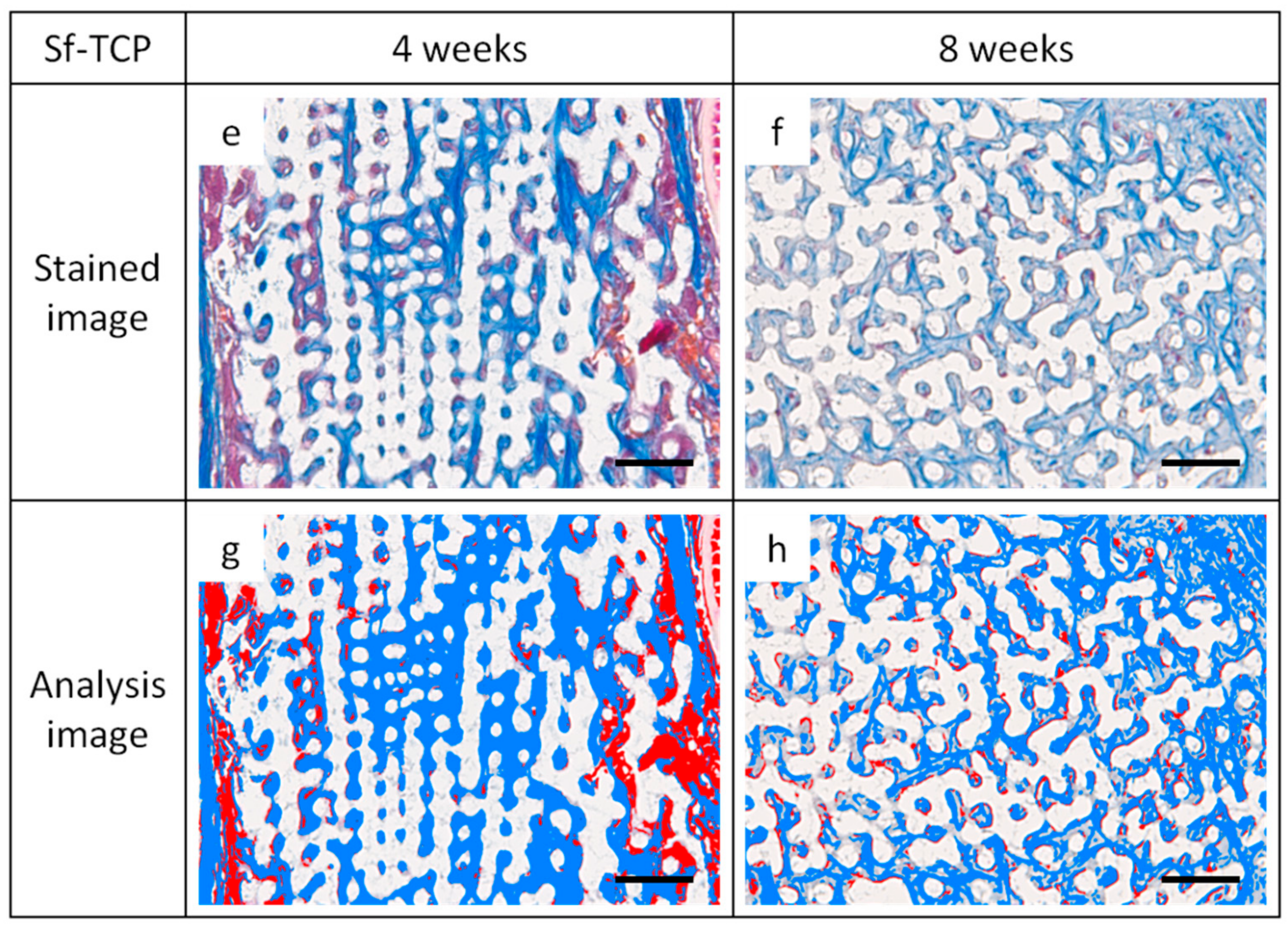 Materials 12 01881 g009b 550