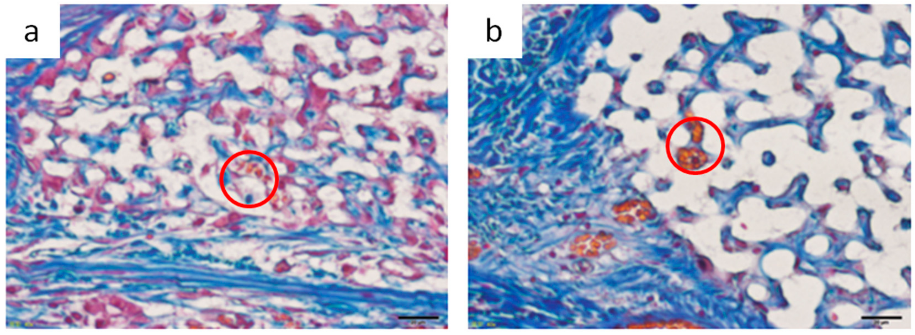 Materials 12 01881 g011 550