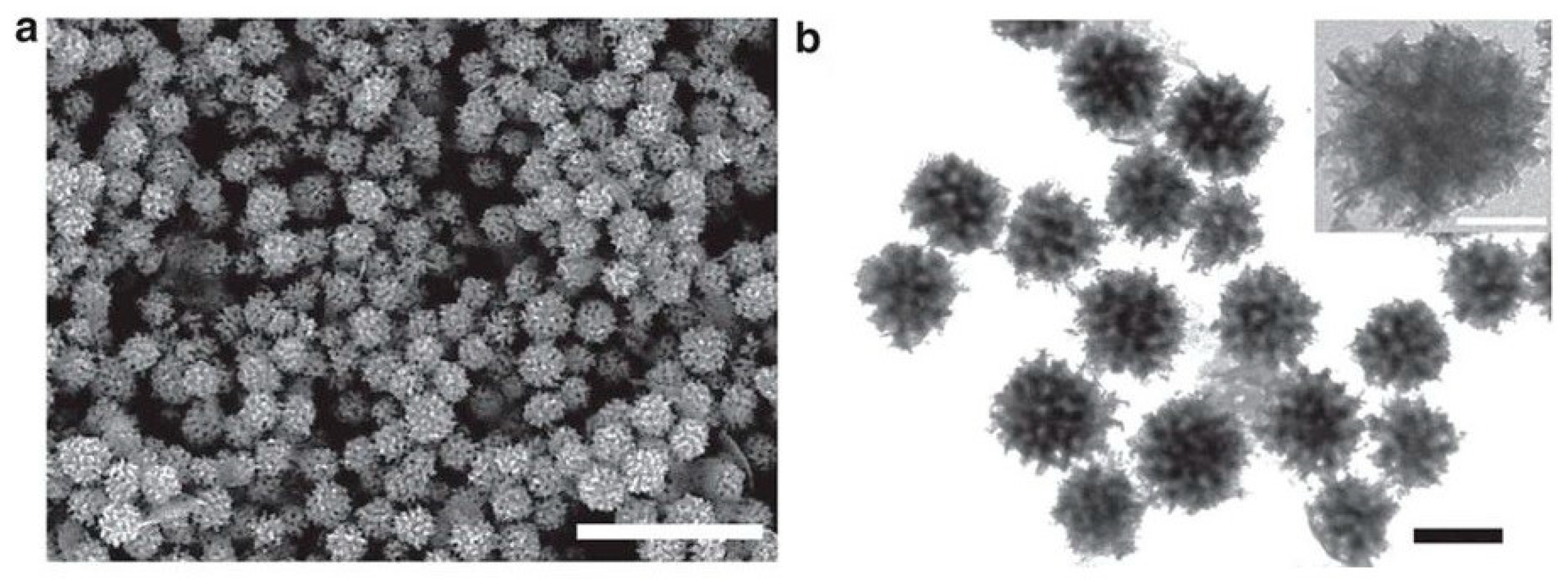 Materials 12 01896 g011 Materials 12 01896 g011
