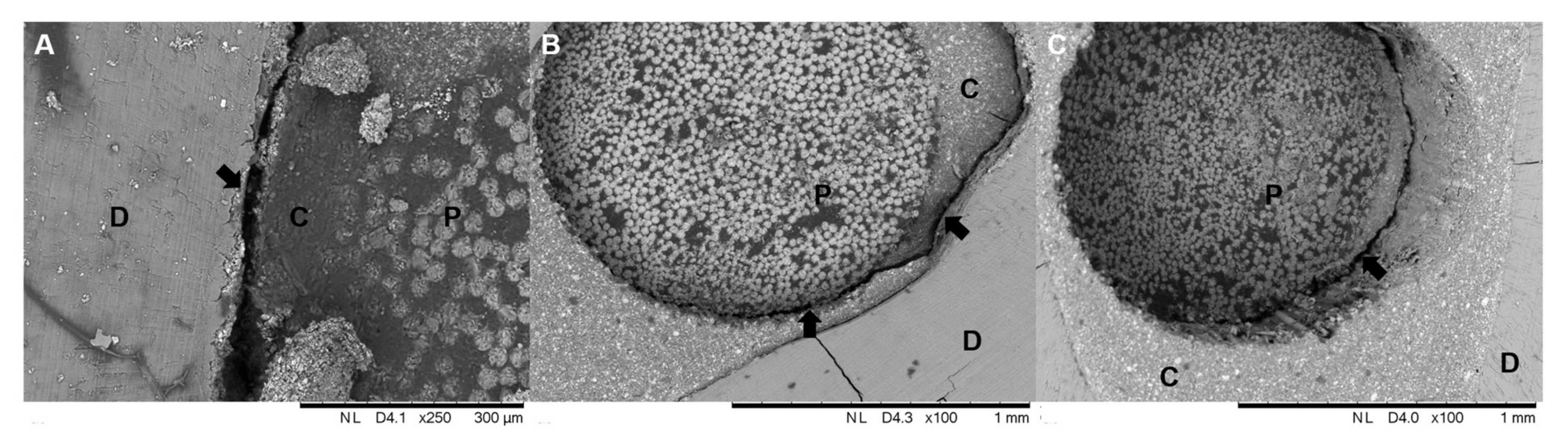 Materials 12 01930 g004
