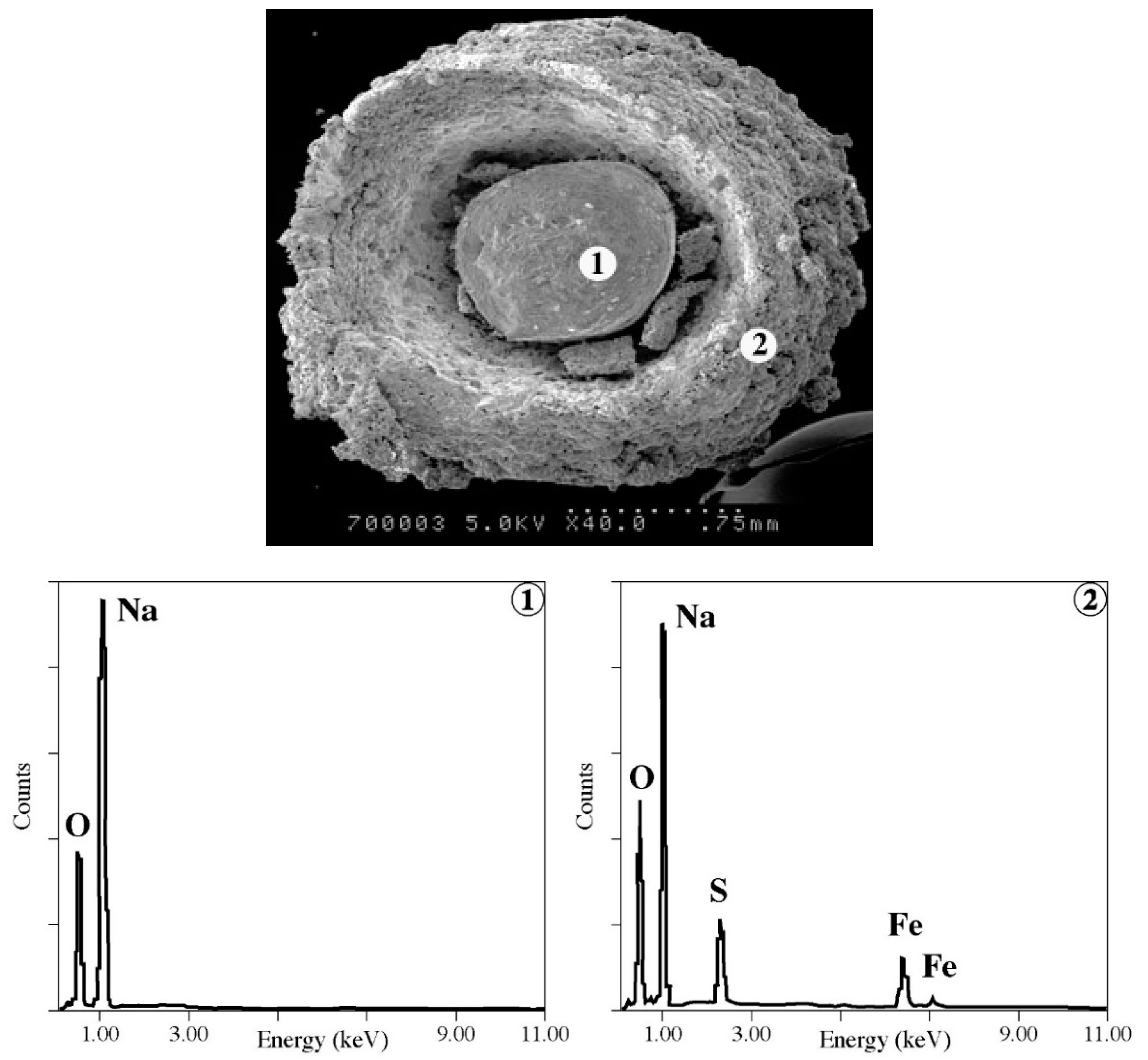 Materials 12 01977 g006