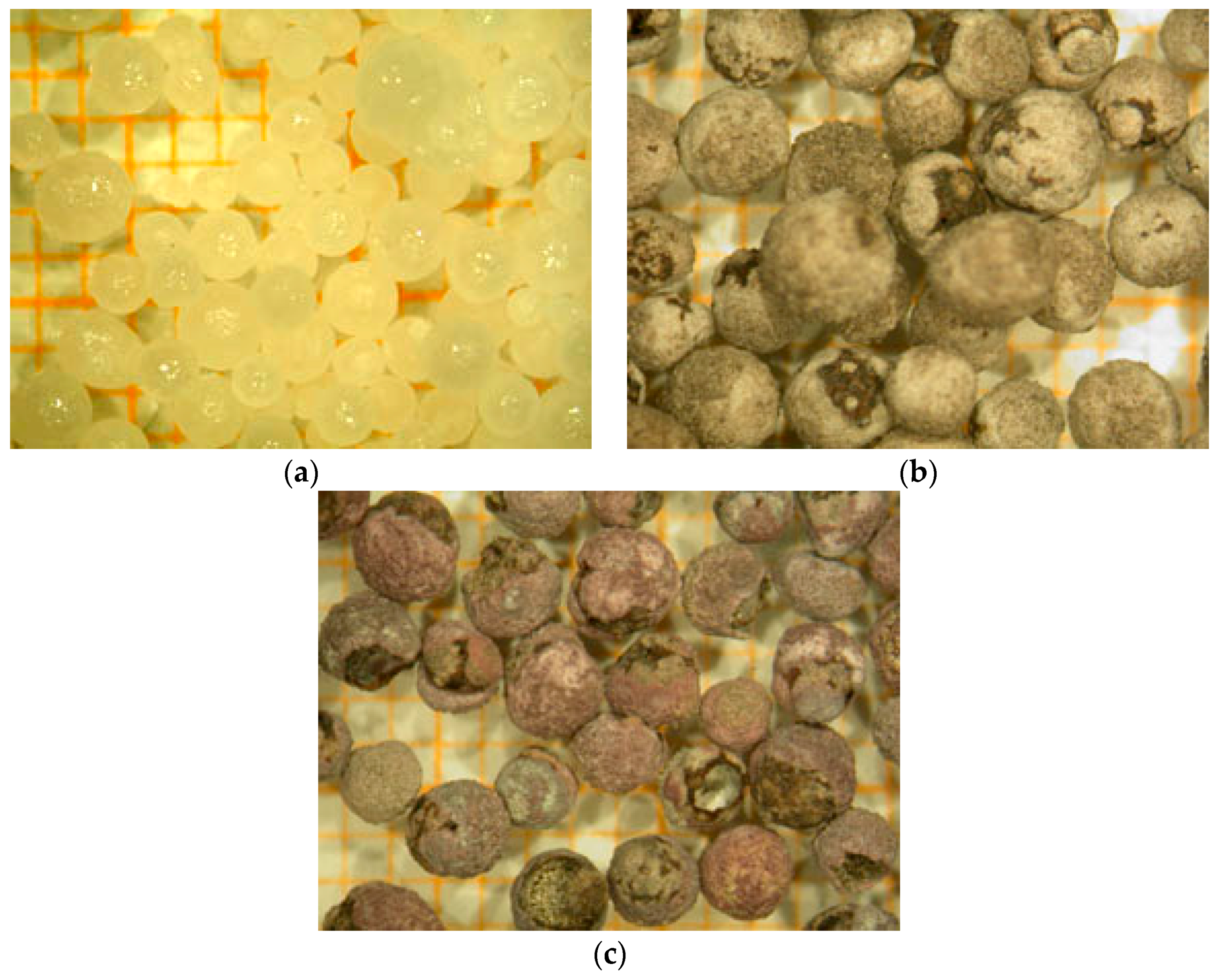 Materials 12 01977 g007