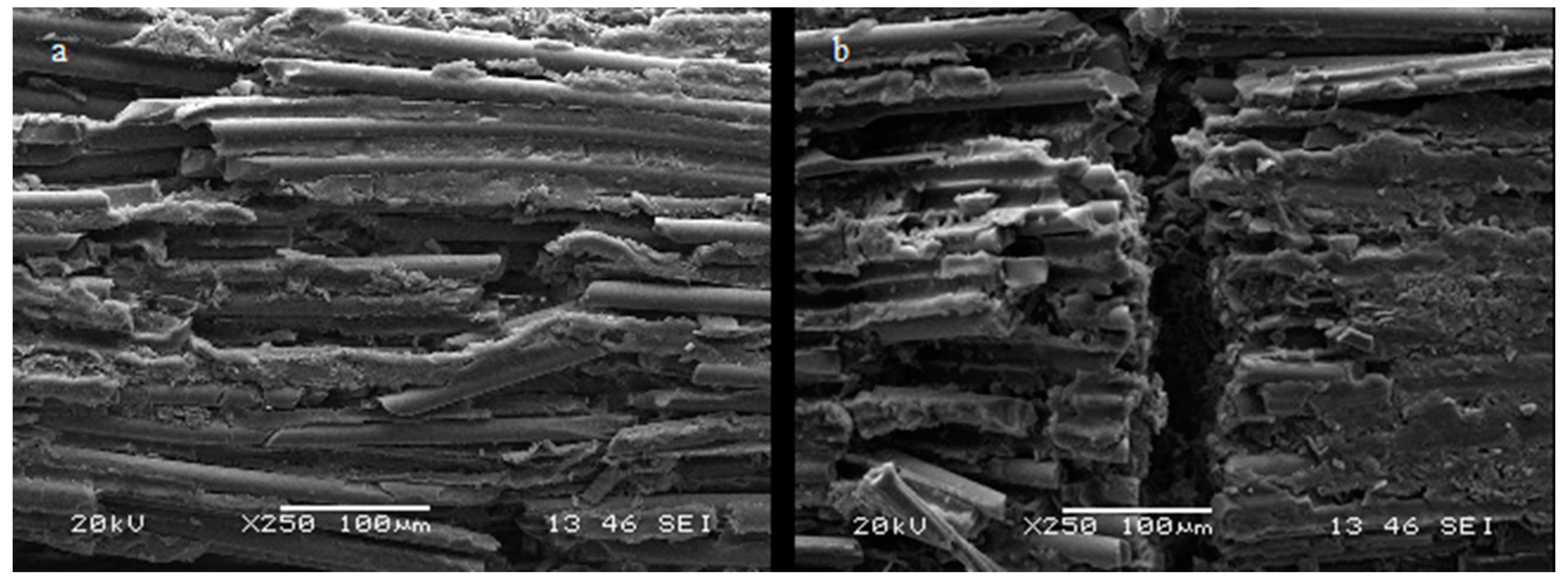 Materials 12 01983 g004