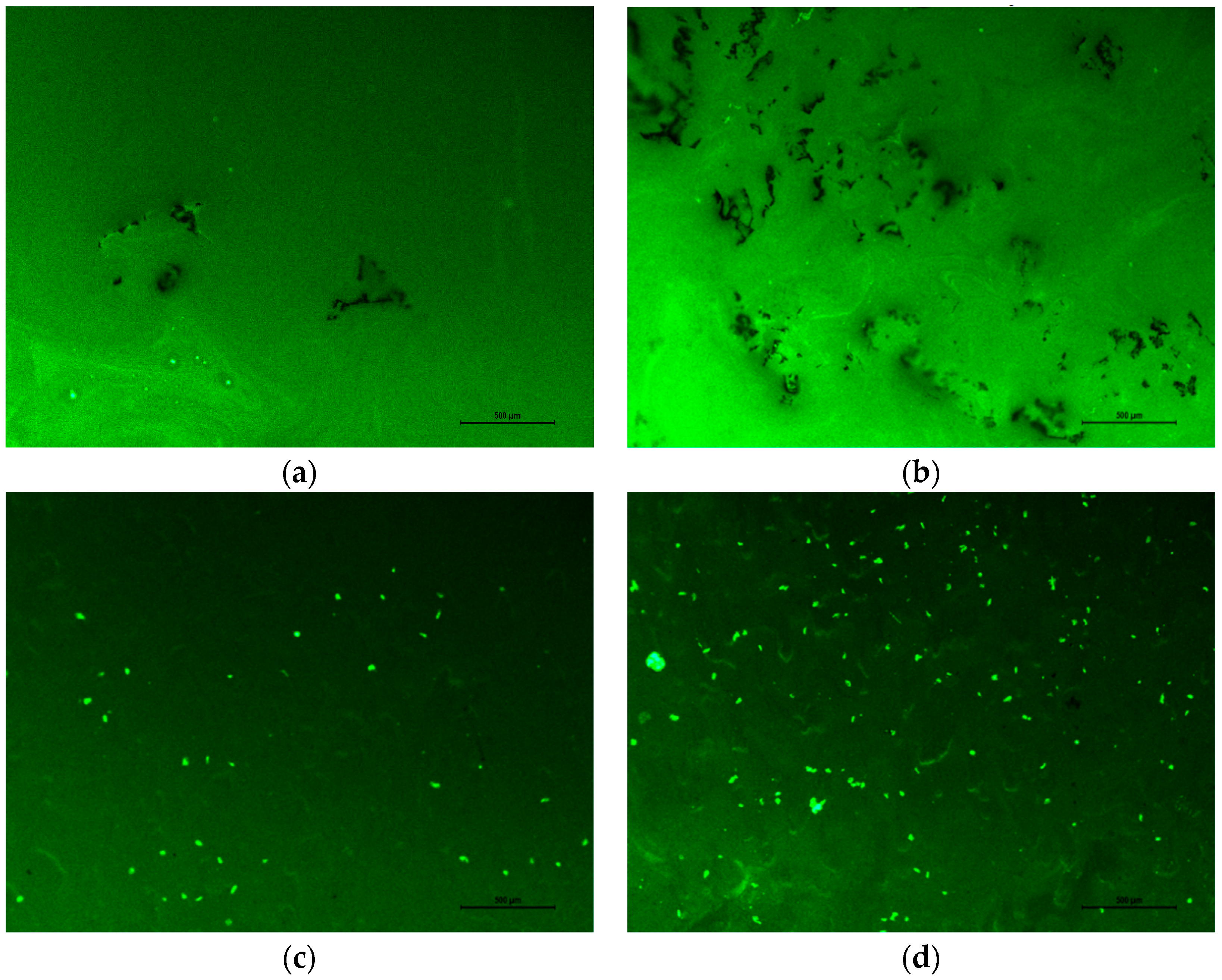 Materials 12 02014 g011