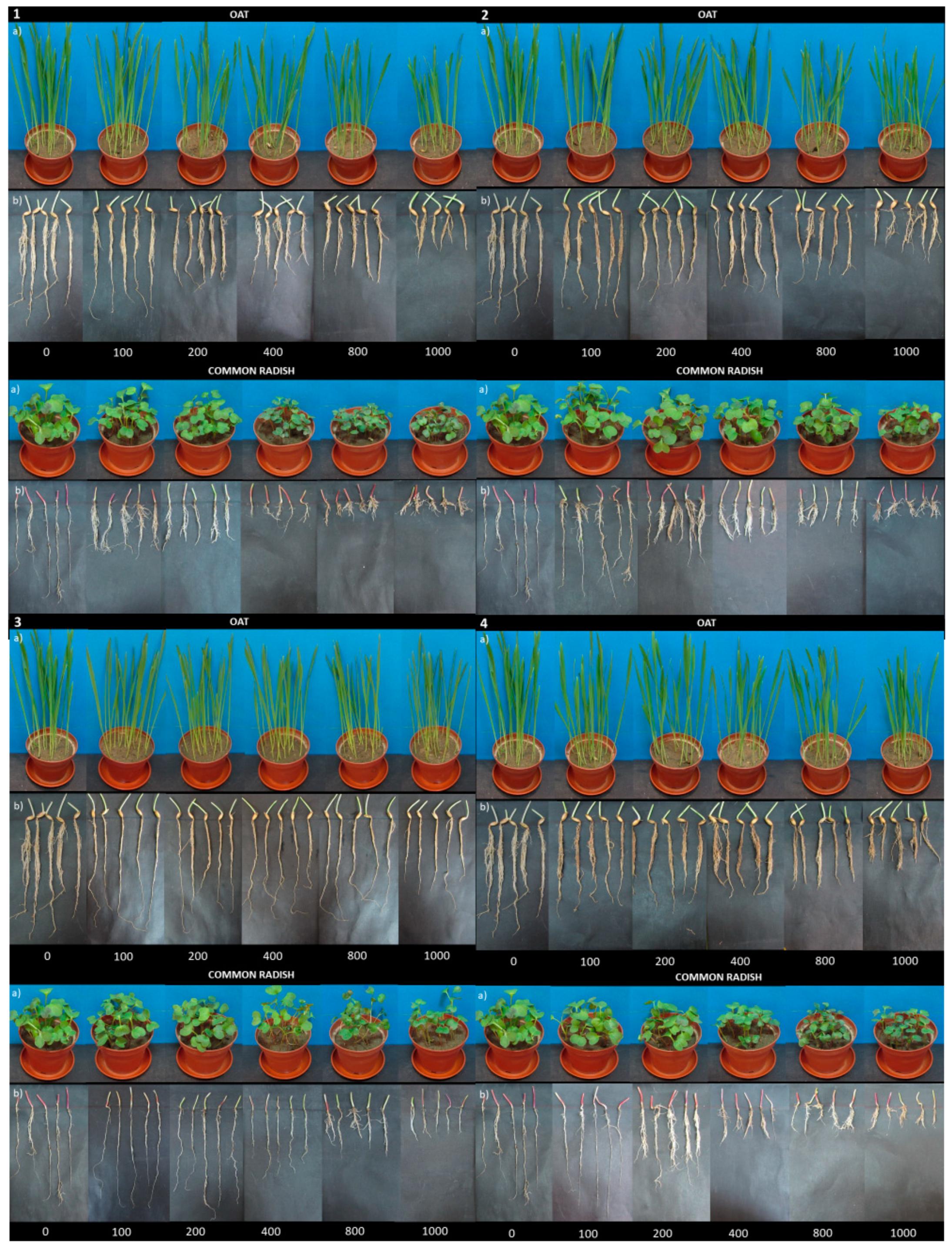 Materials 12 02018 g003a