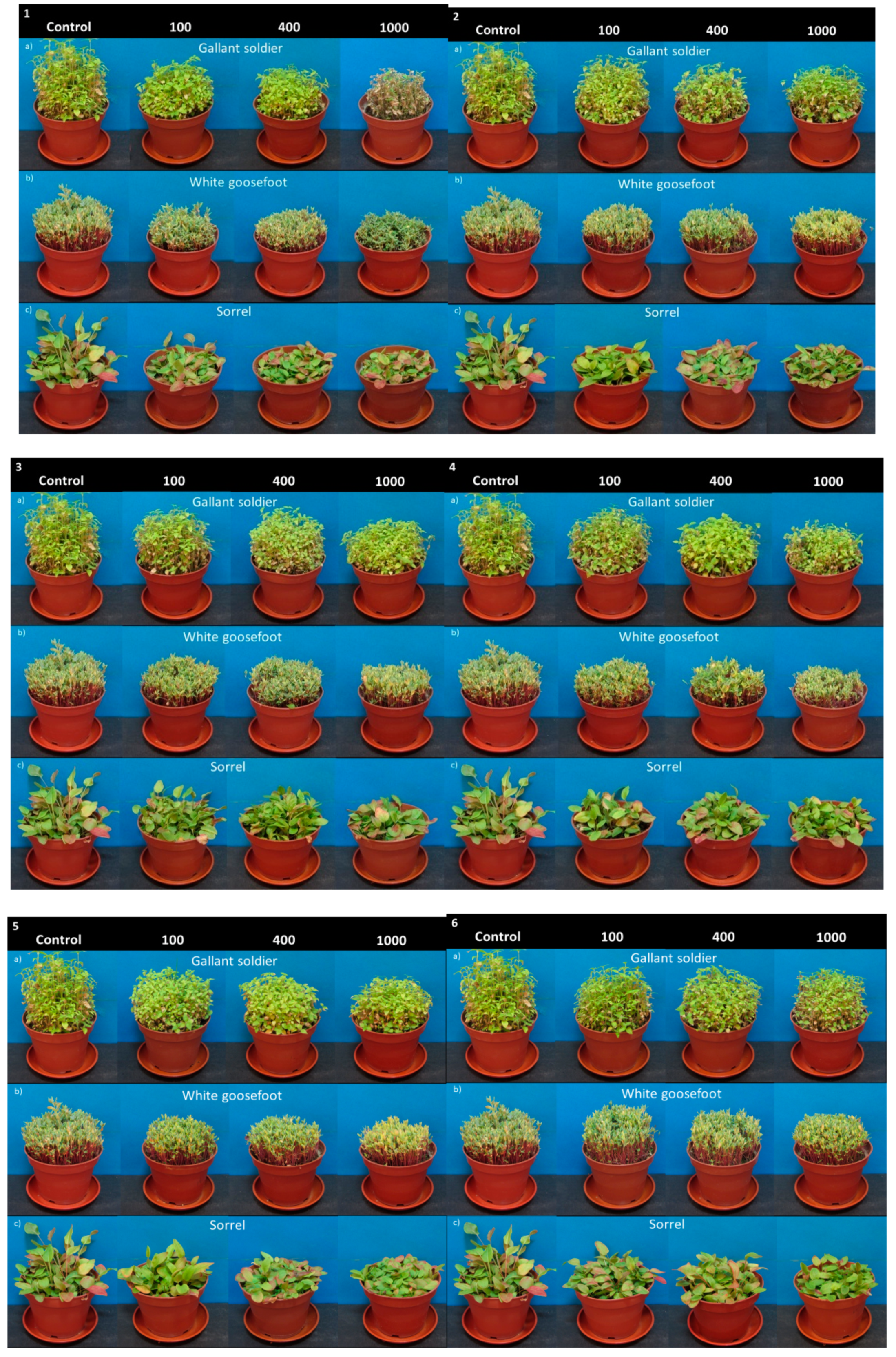 Materials 12 02018 g005