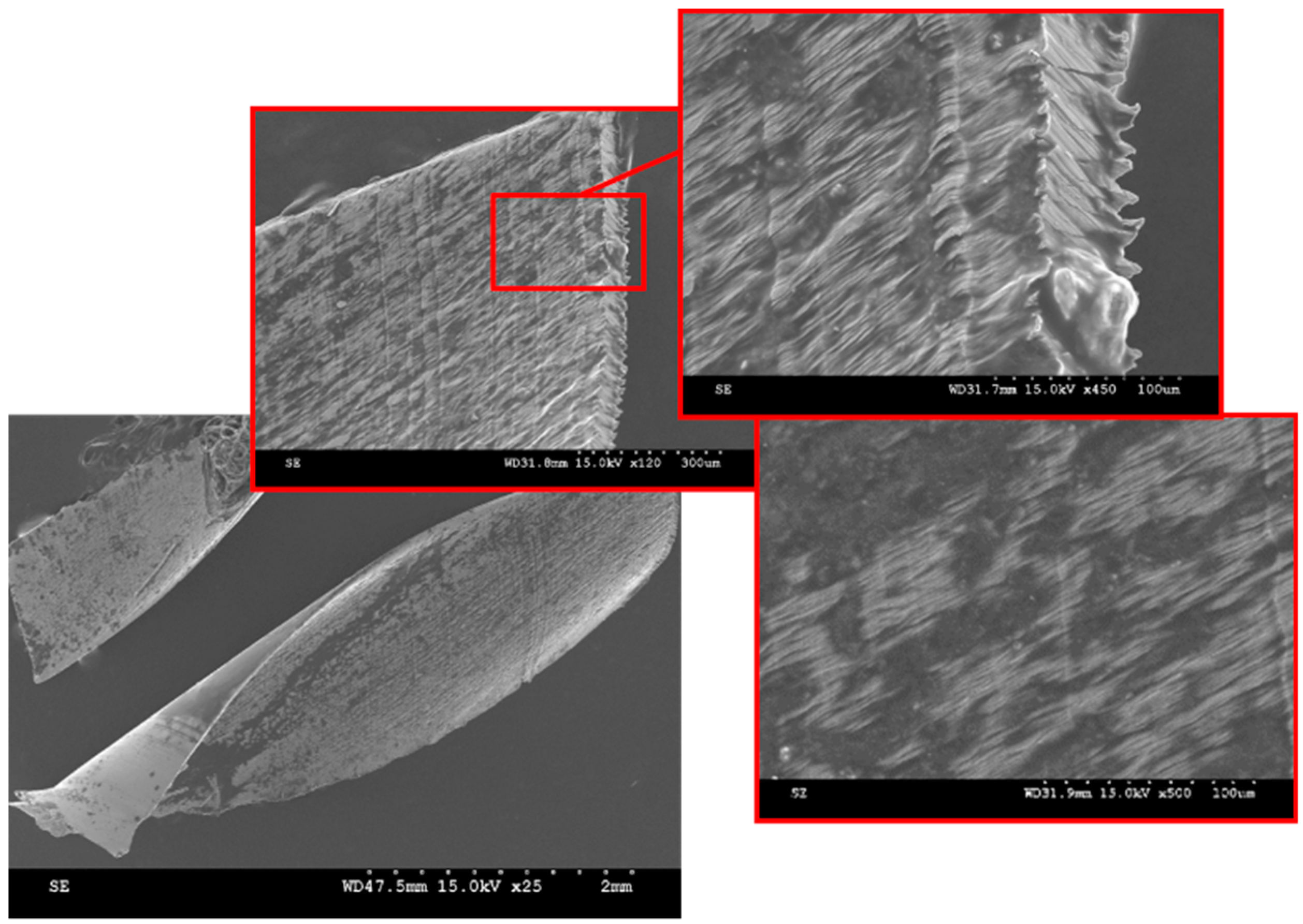 Materials 12 02034 g018