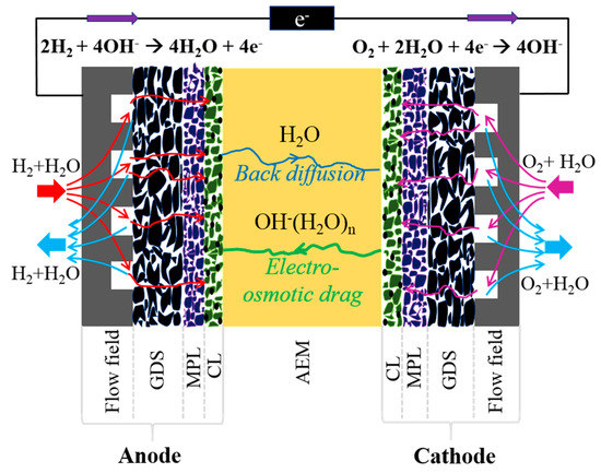 Effects of Cell Temperature and Reactant Humidification on
