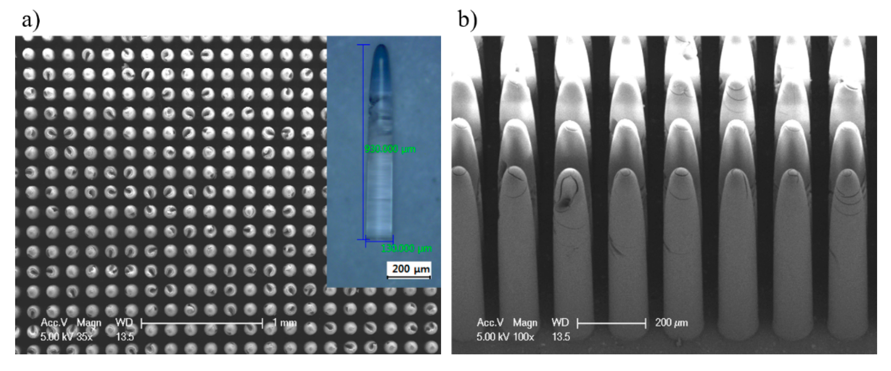 Materials 12 02056 g008 550