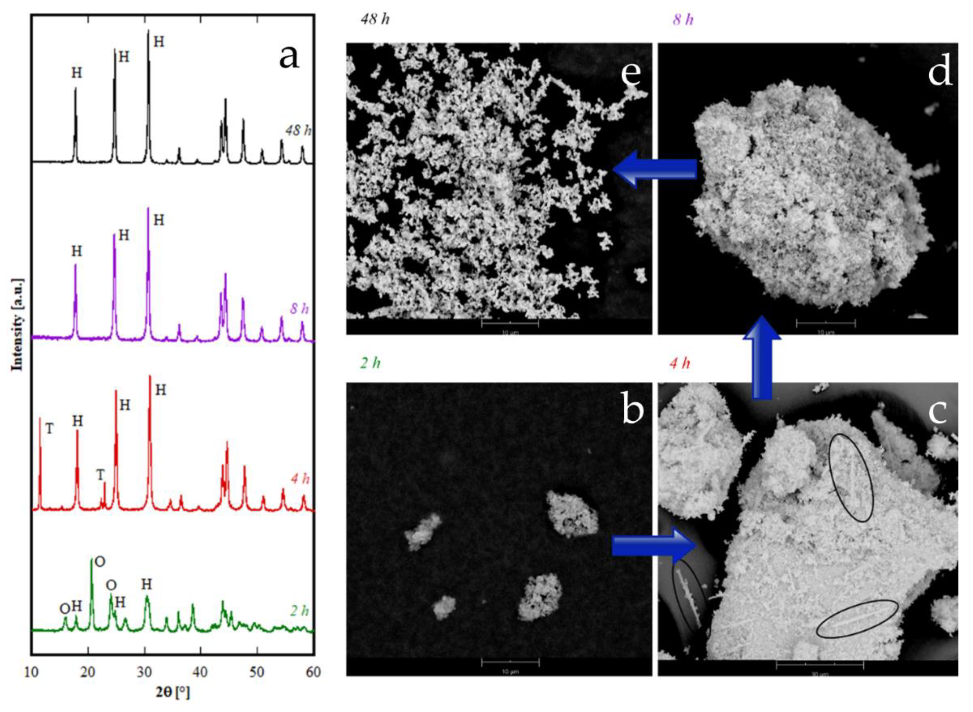 Materials 12 02062 g007