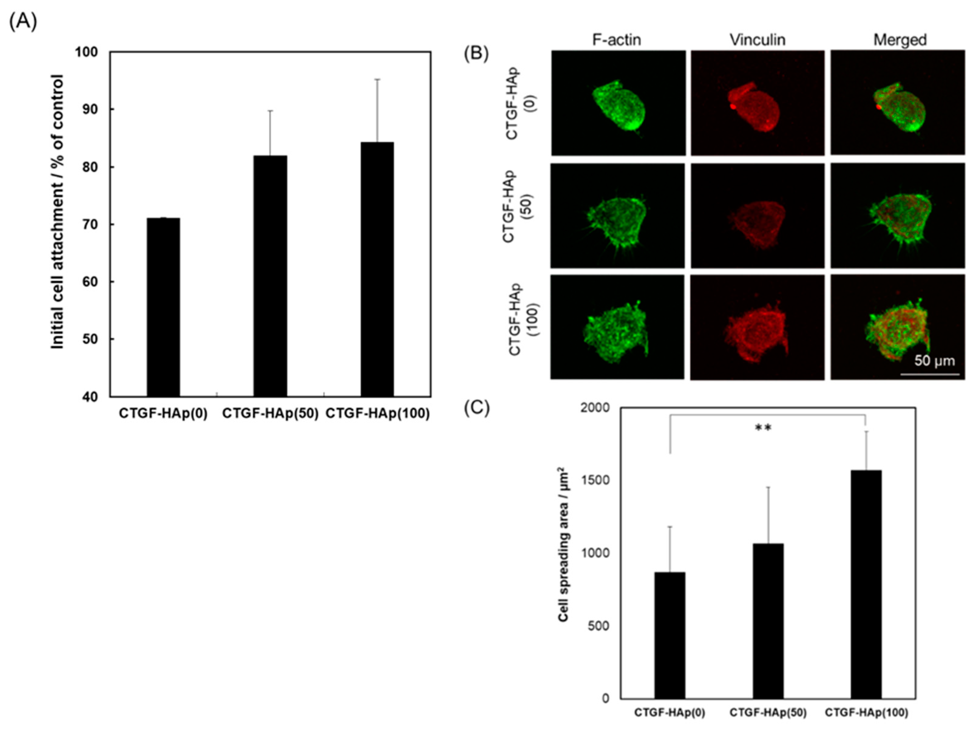Materials 12 02068 g001
