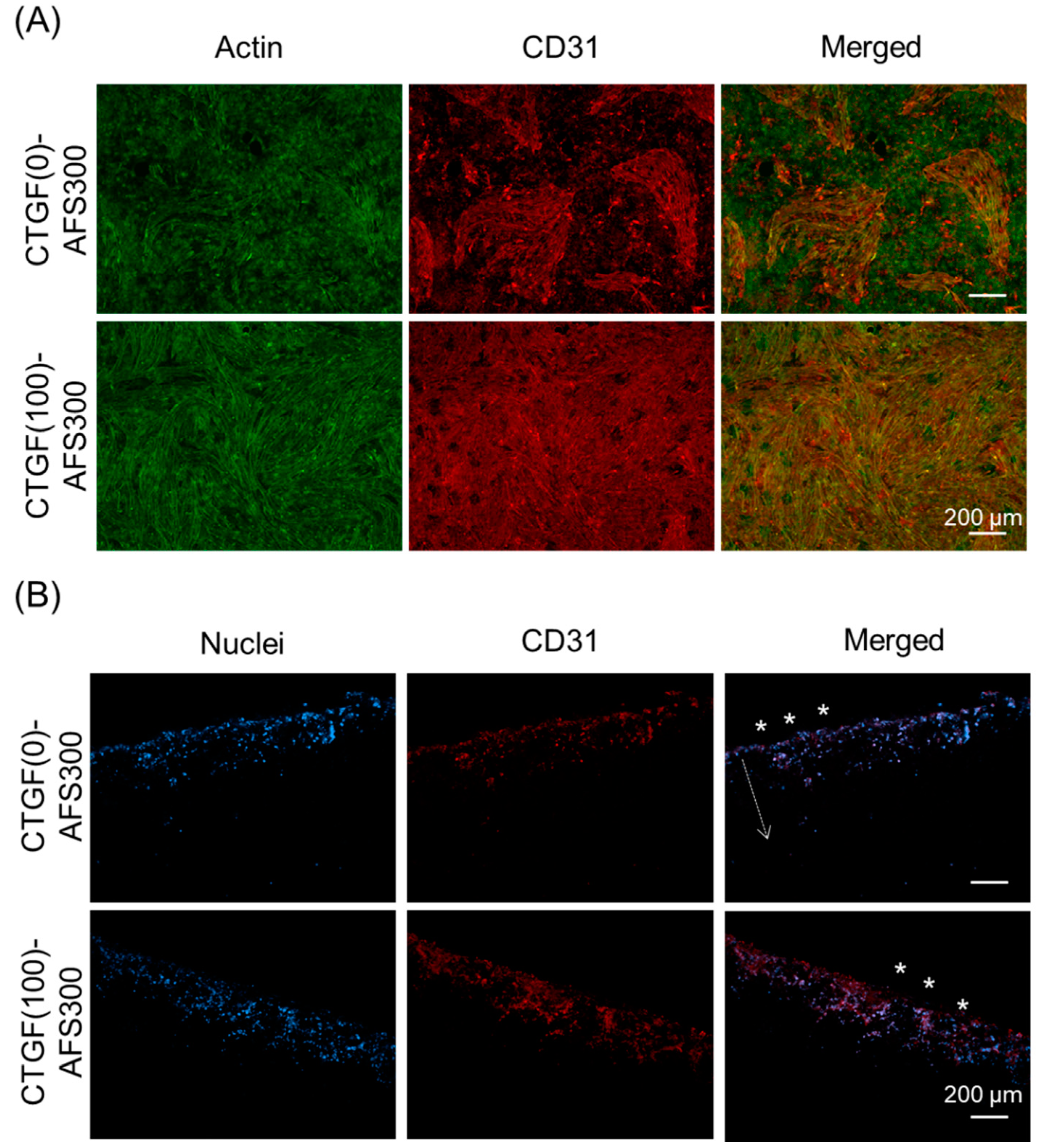Materials 12 02068 g006