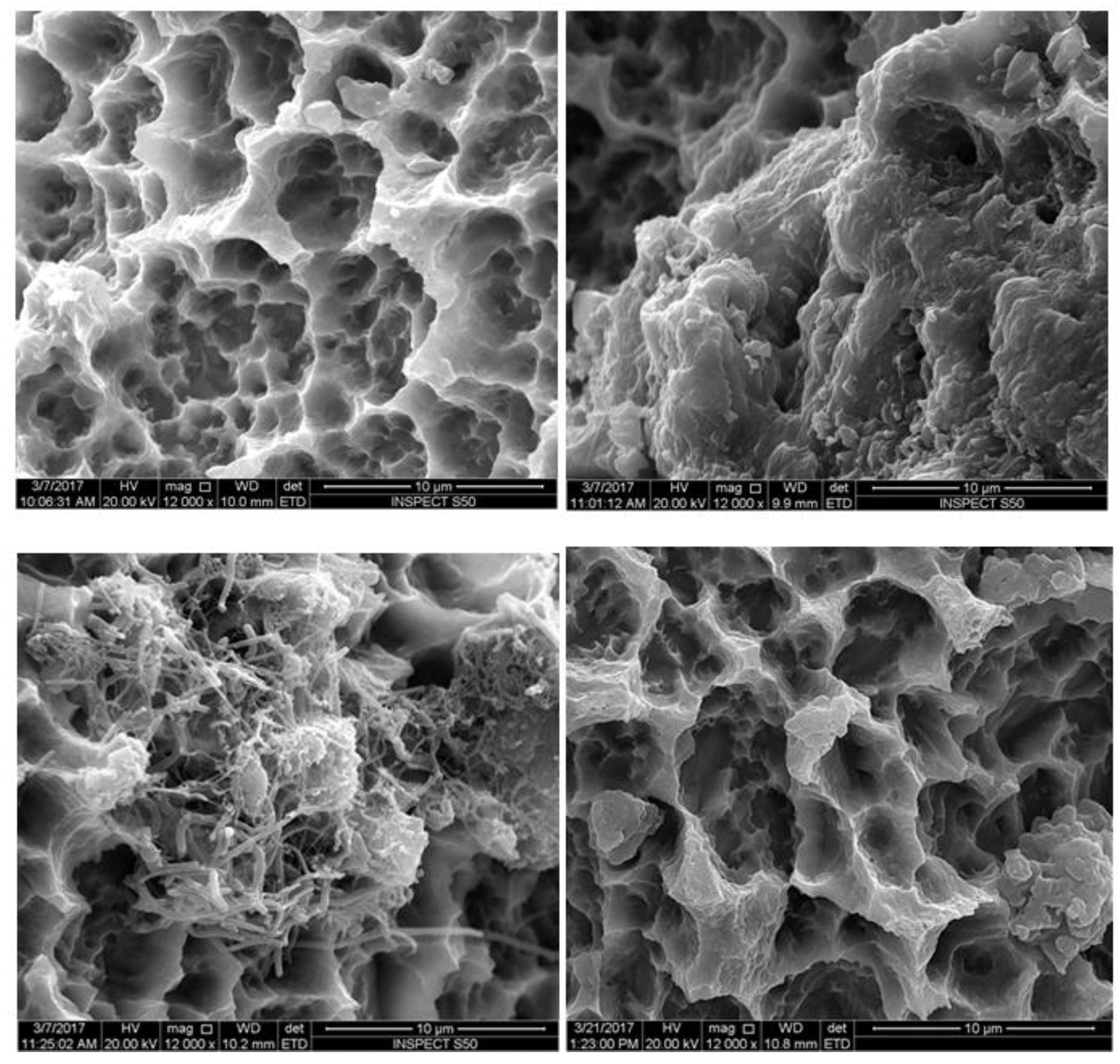 Materials 12 02073 g003 Materials 12 02073 g003