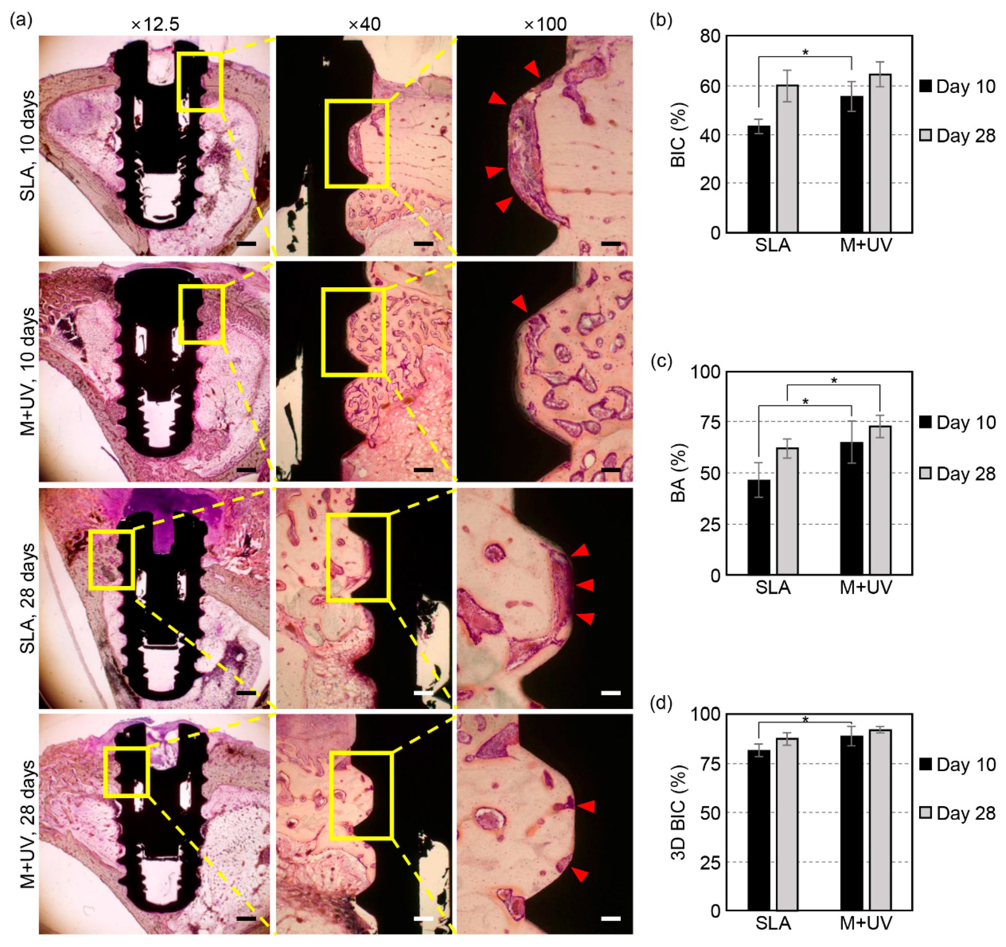 Materials 12 02078 g005 Materials 12 02078 g005
