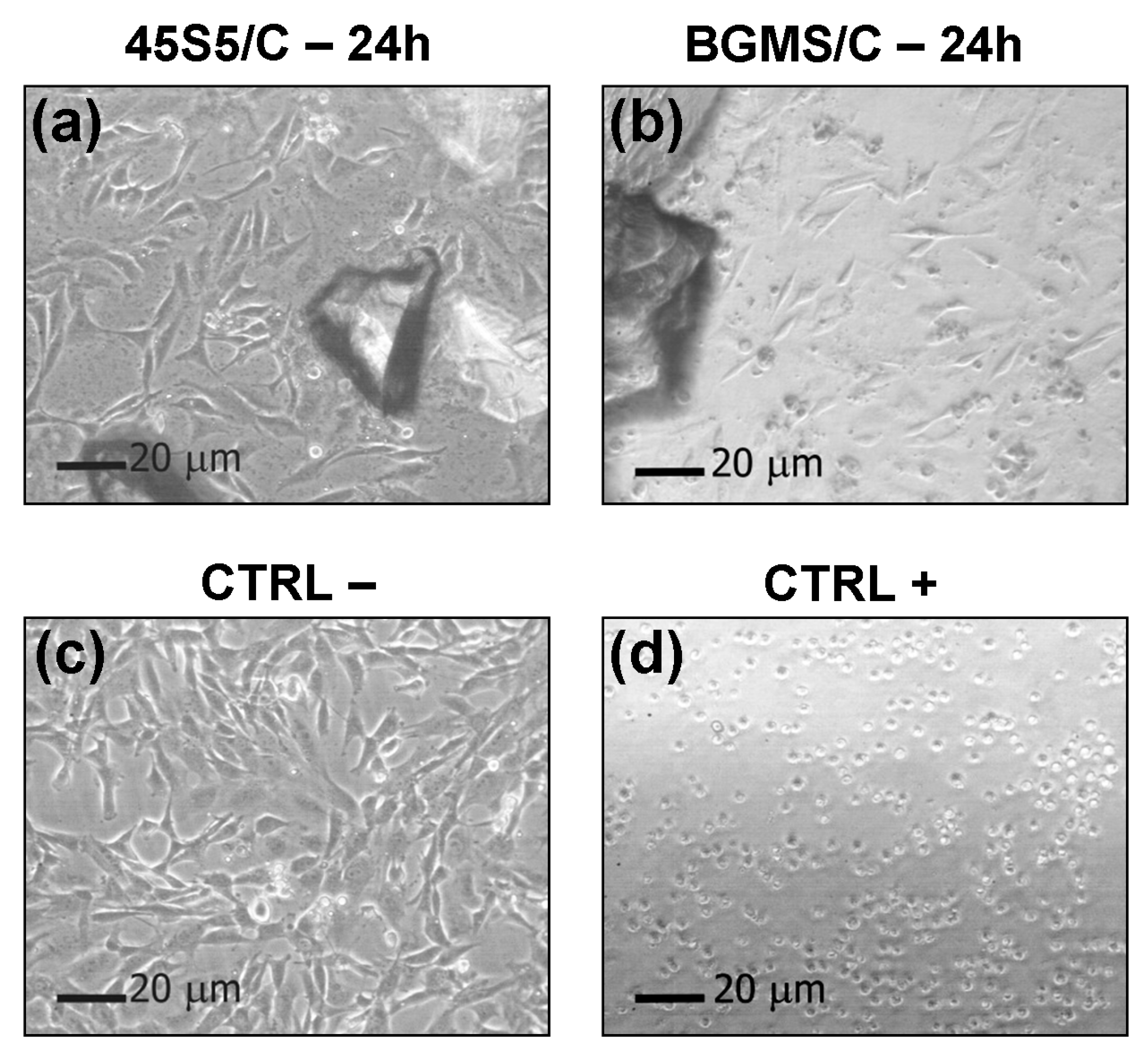Materials 12 02079 g002