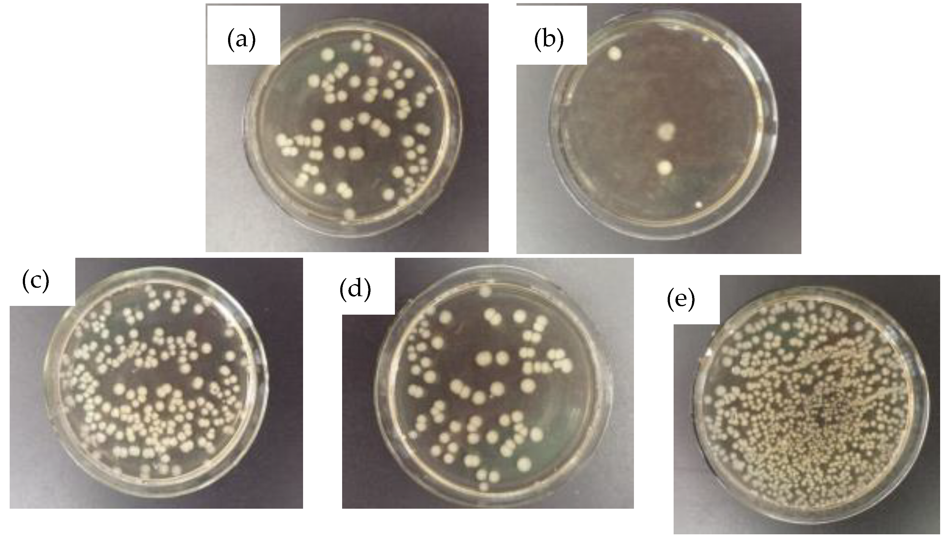 Materials 12 02085 g010 550