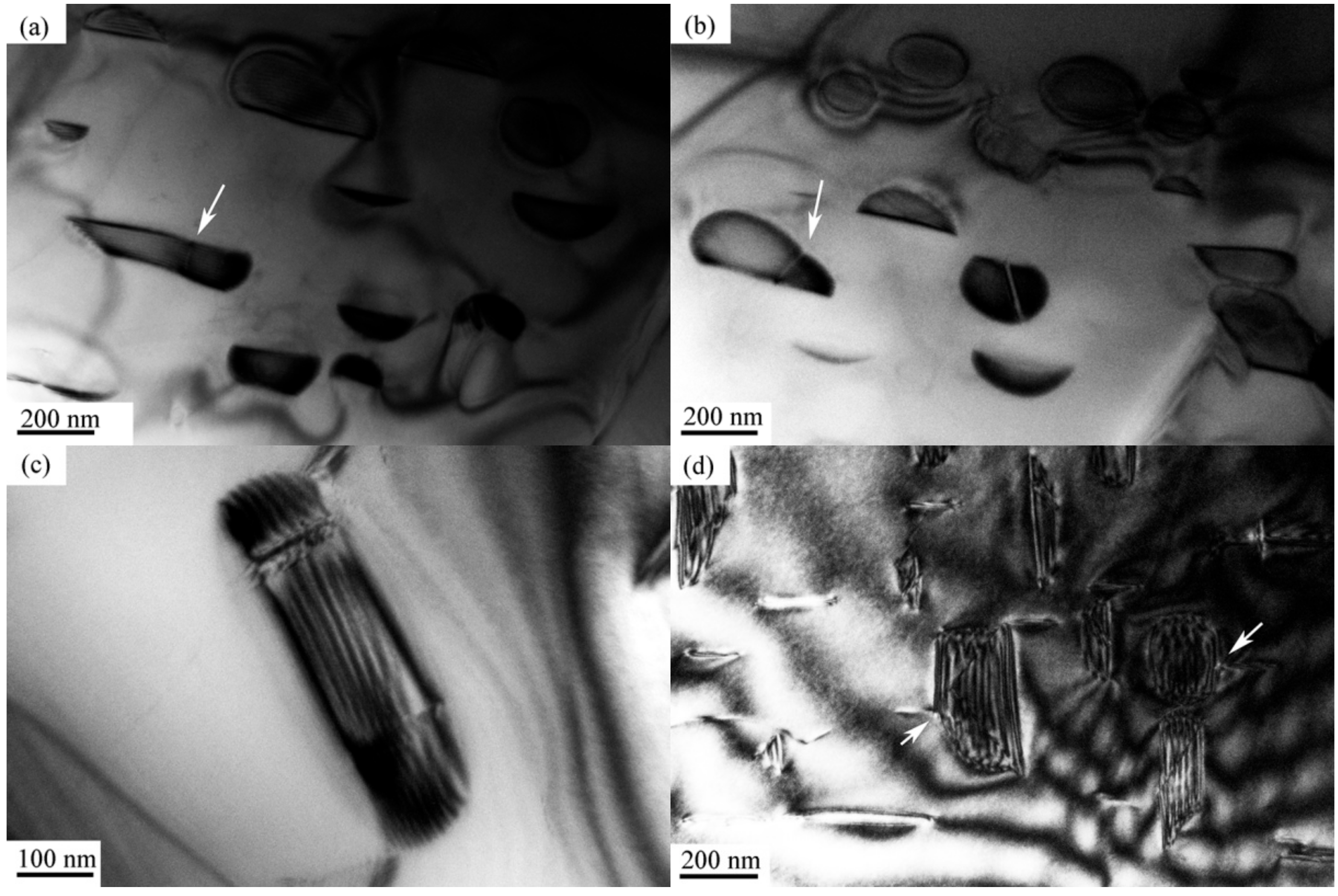 Materials 12 02096 g005