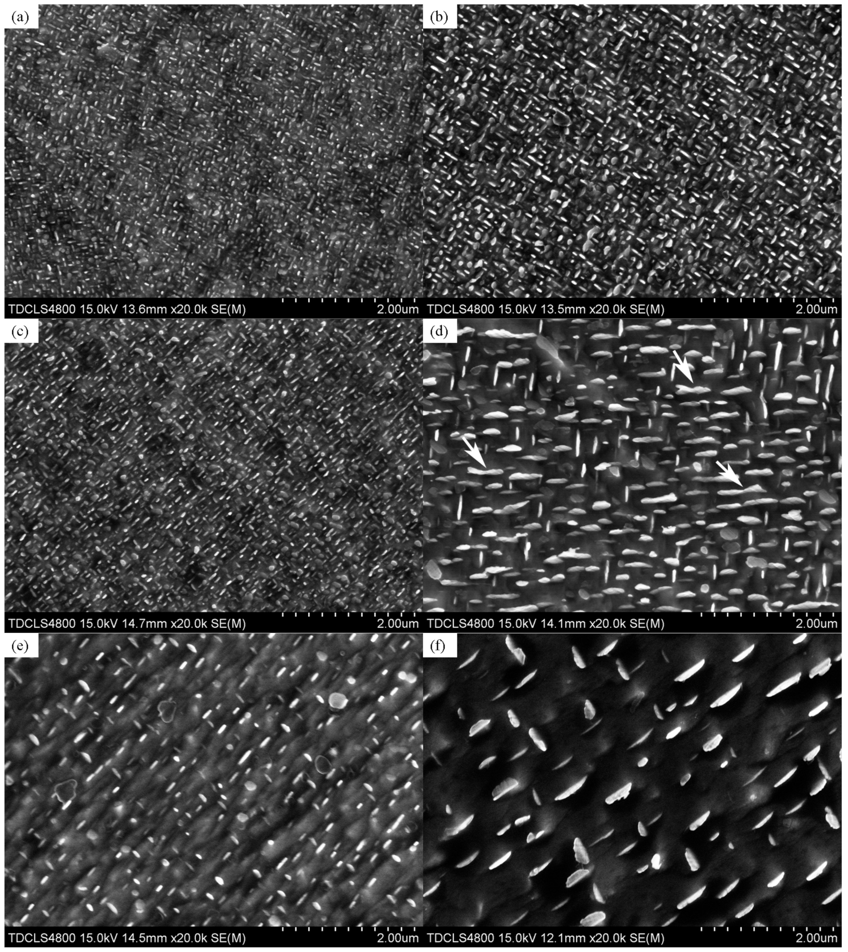 Materials 12 02096 g006