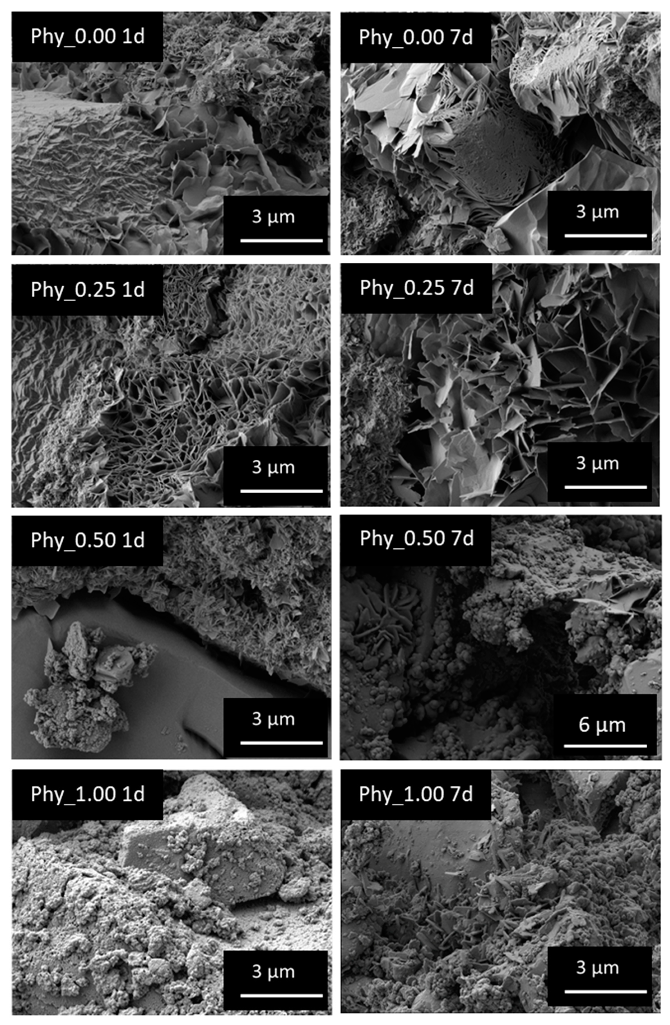 Materials 12 02098 g011 Materials 12 02098 g011