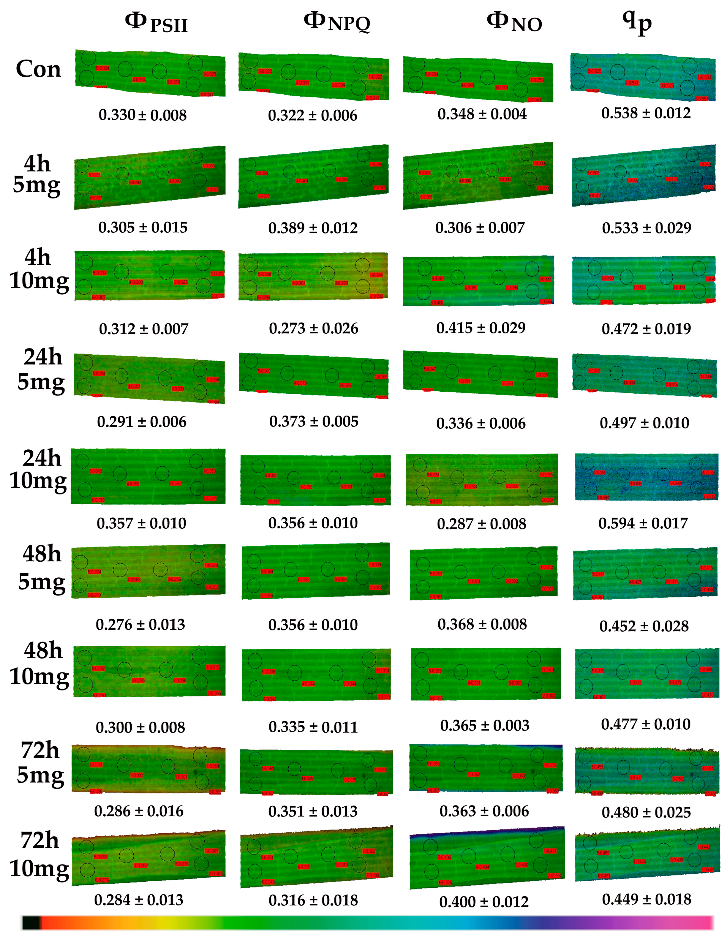 Materials 12 02101 g009 Materials 12 02101 g009
