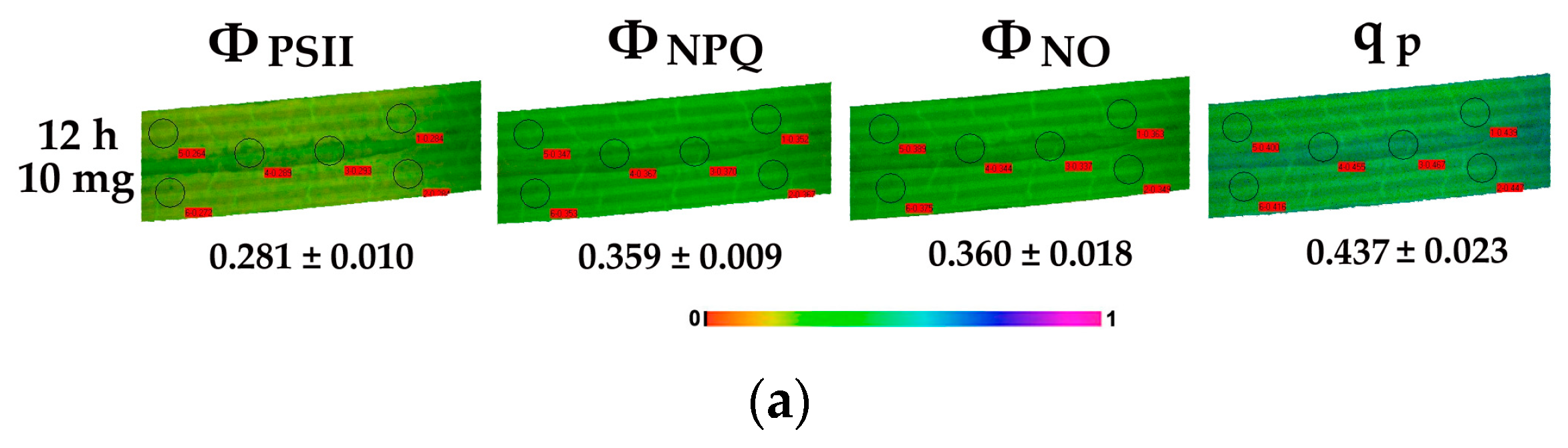 Materials 12 02101 g010a Materials 12 02101 g010a