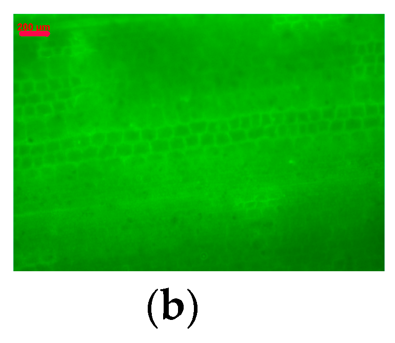 Materials 12 02101 g010b Materials 12 02101 g010b