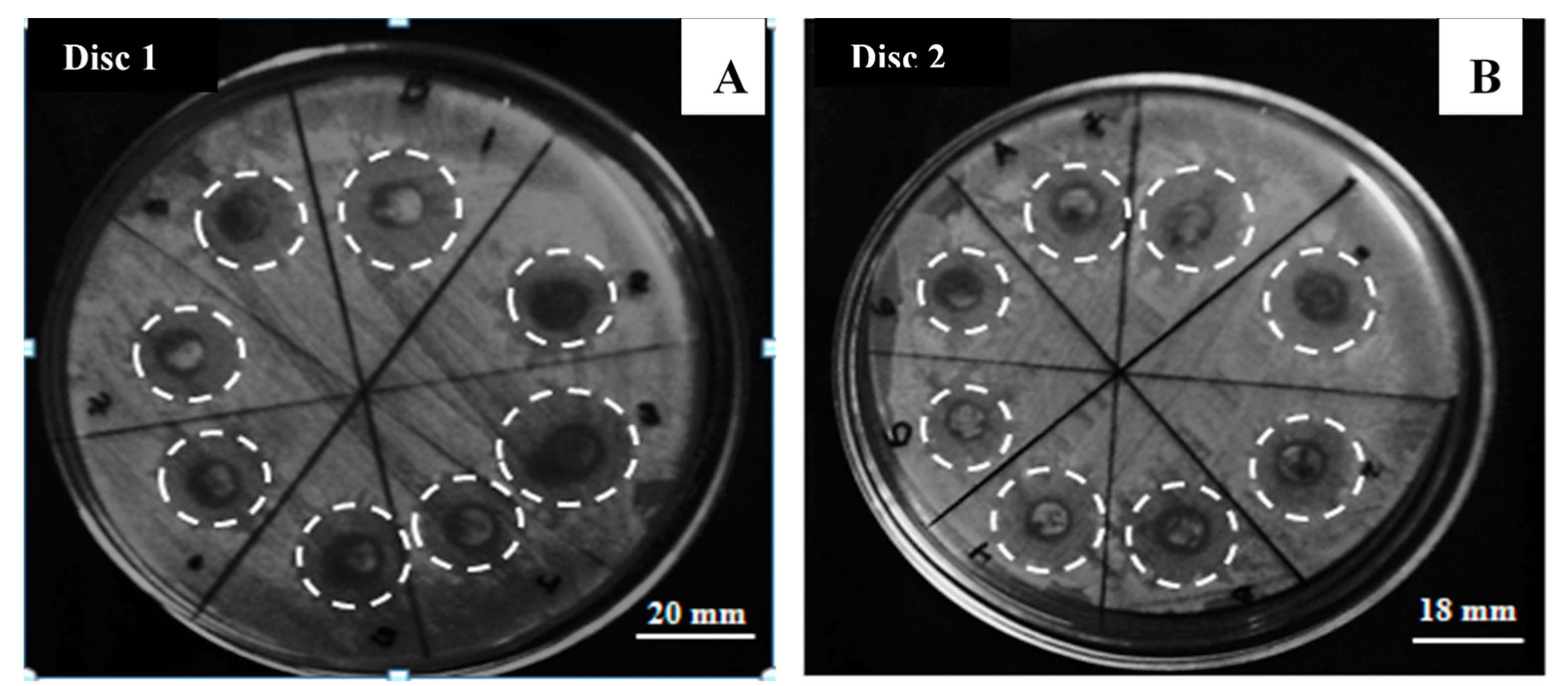Materials 12 02103 g004