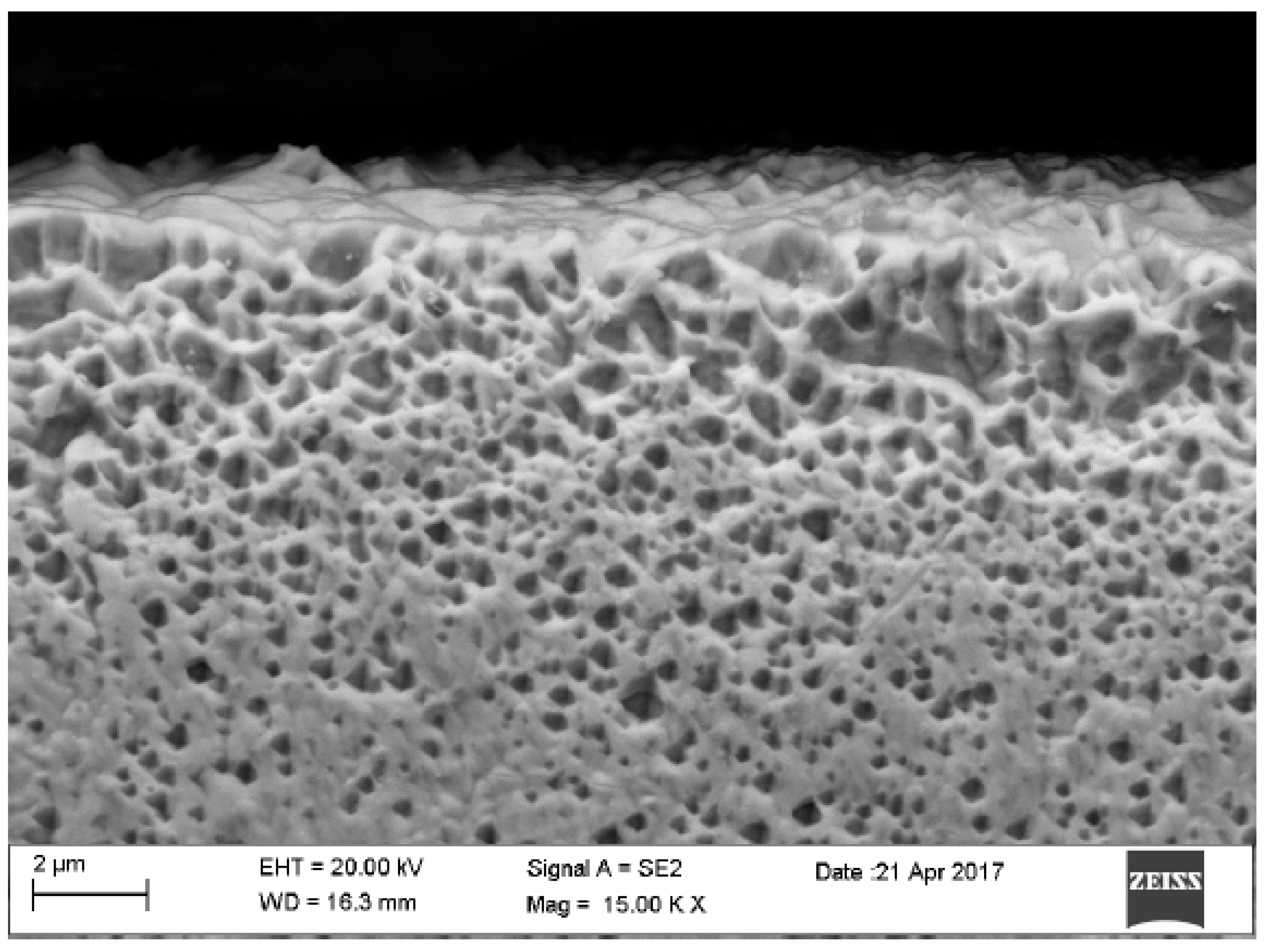 Materials 12 02137 g010