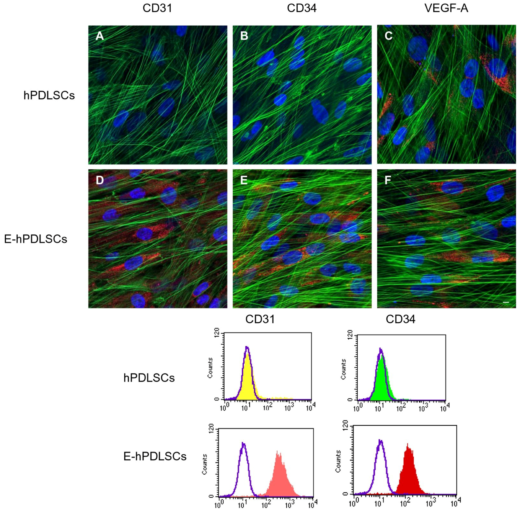 Materials 12 02157 g003 550