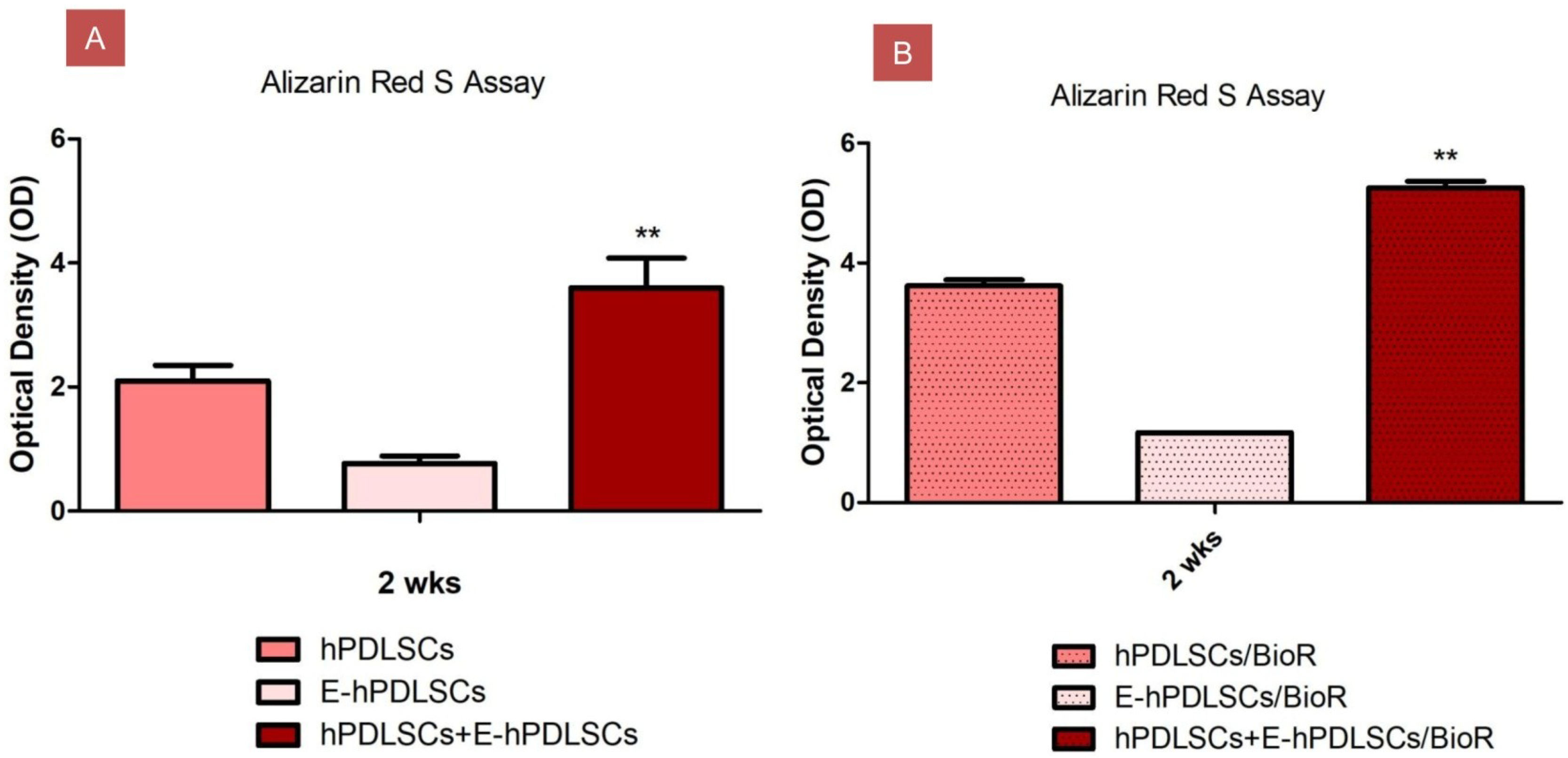 Materials 12 02157 g005 550