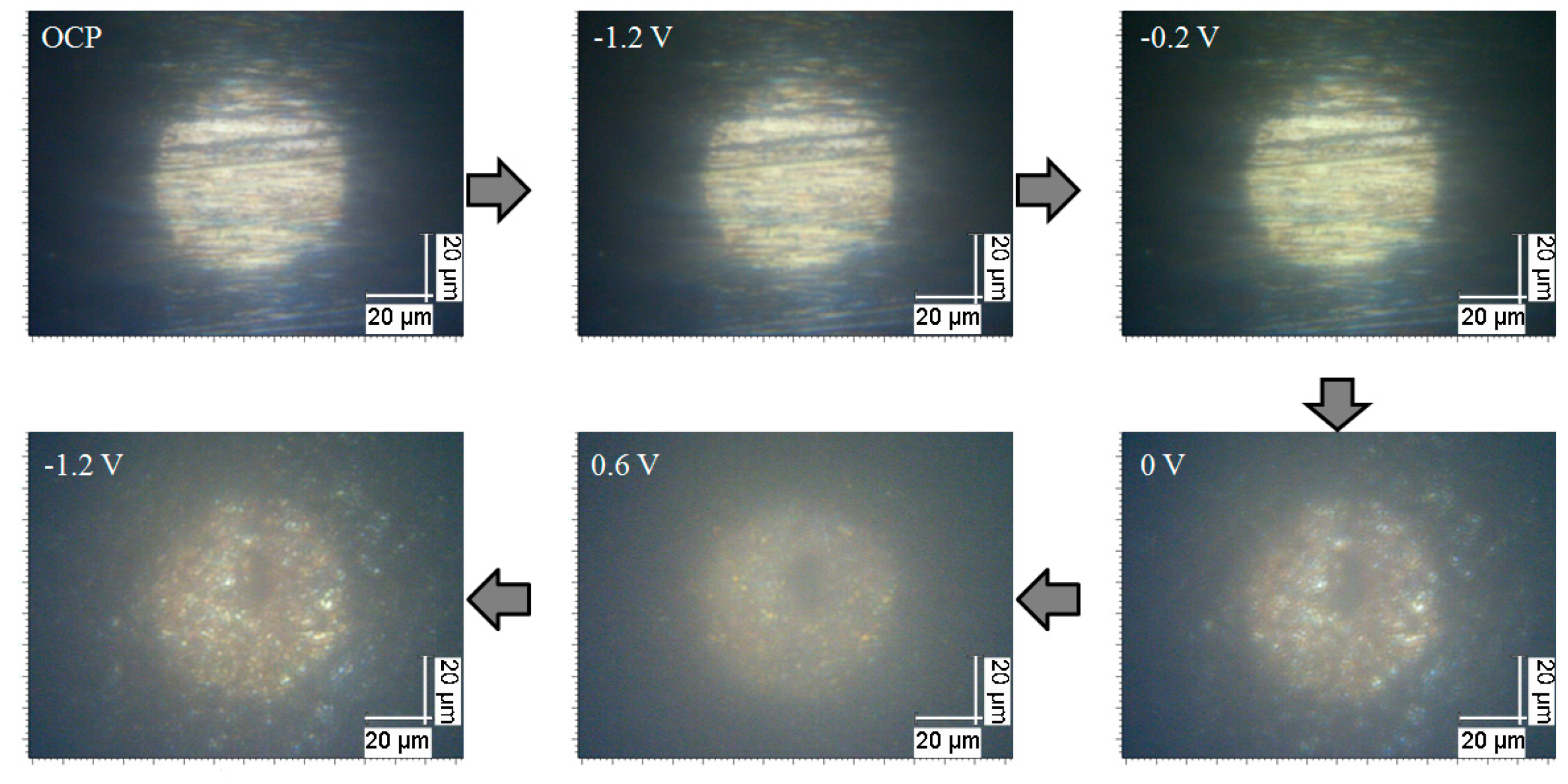 Materials 12 02164 g002 Materials 12 02164 g002