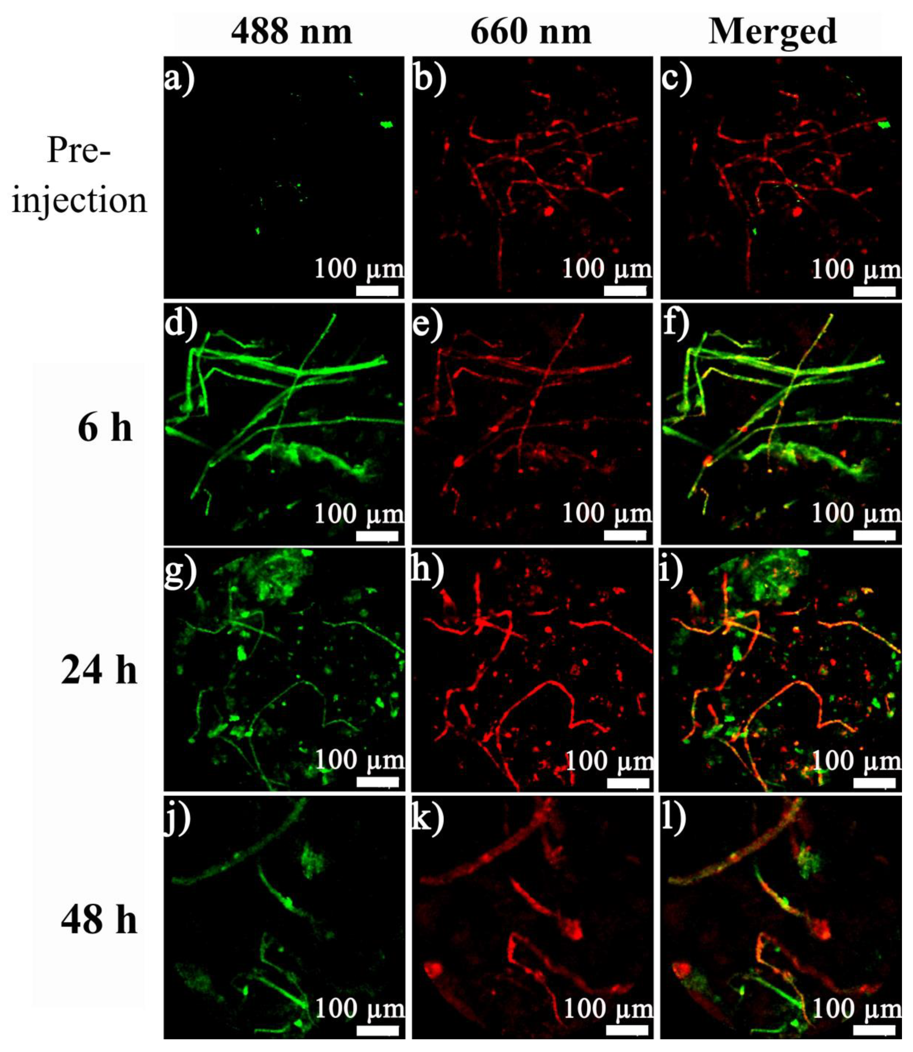 Materials 12 02191 g004 Materials 12 02191 g004