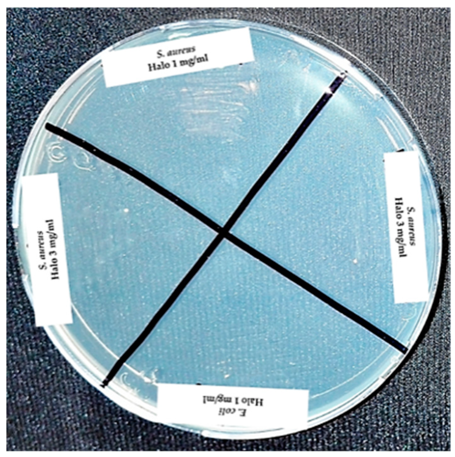 Materials 12 02202 g008 550