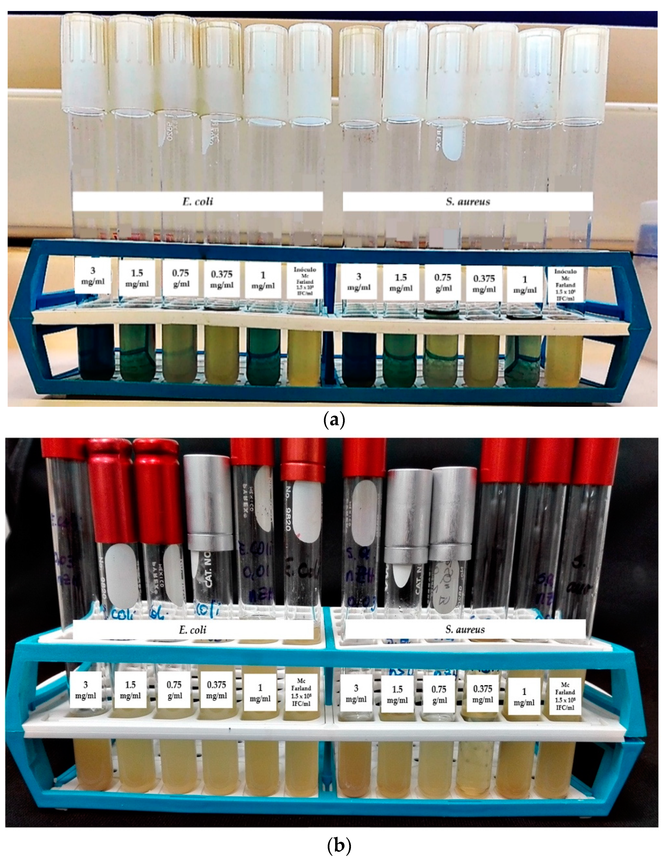 Materials 12 02202 g009 550