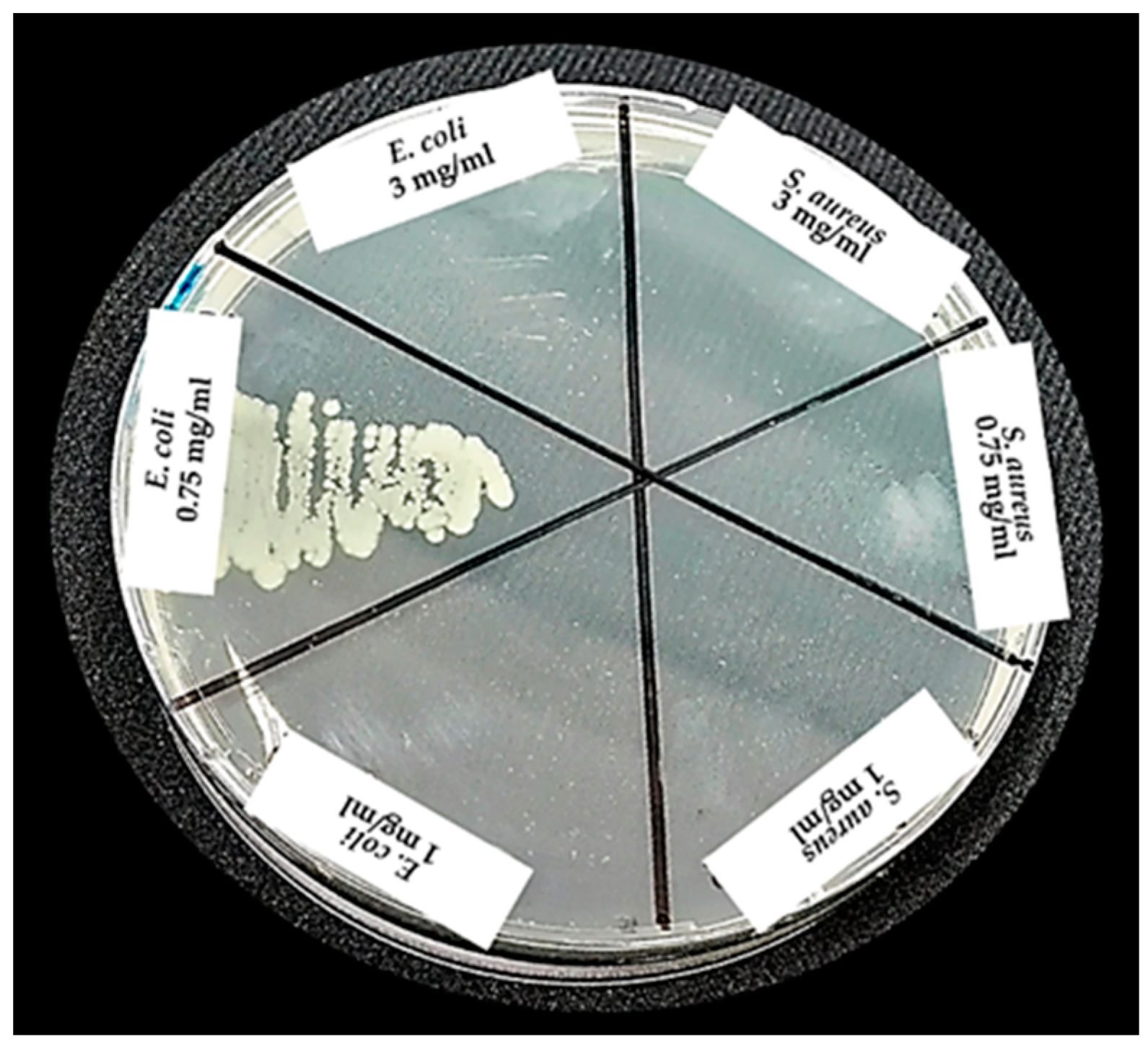 Materials 12 02202 g010 550