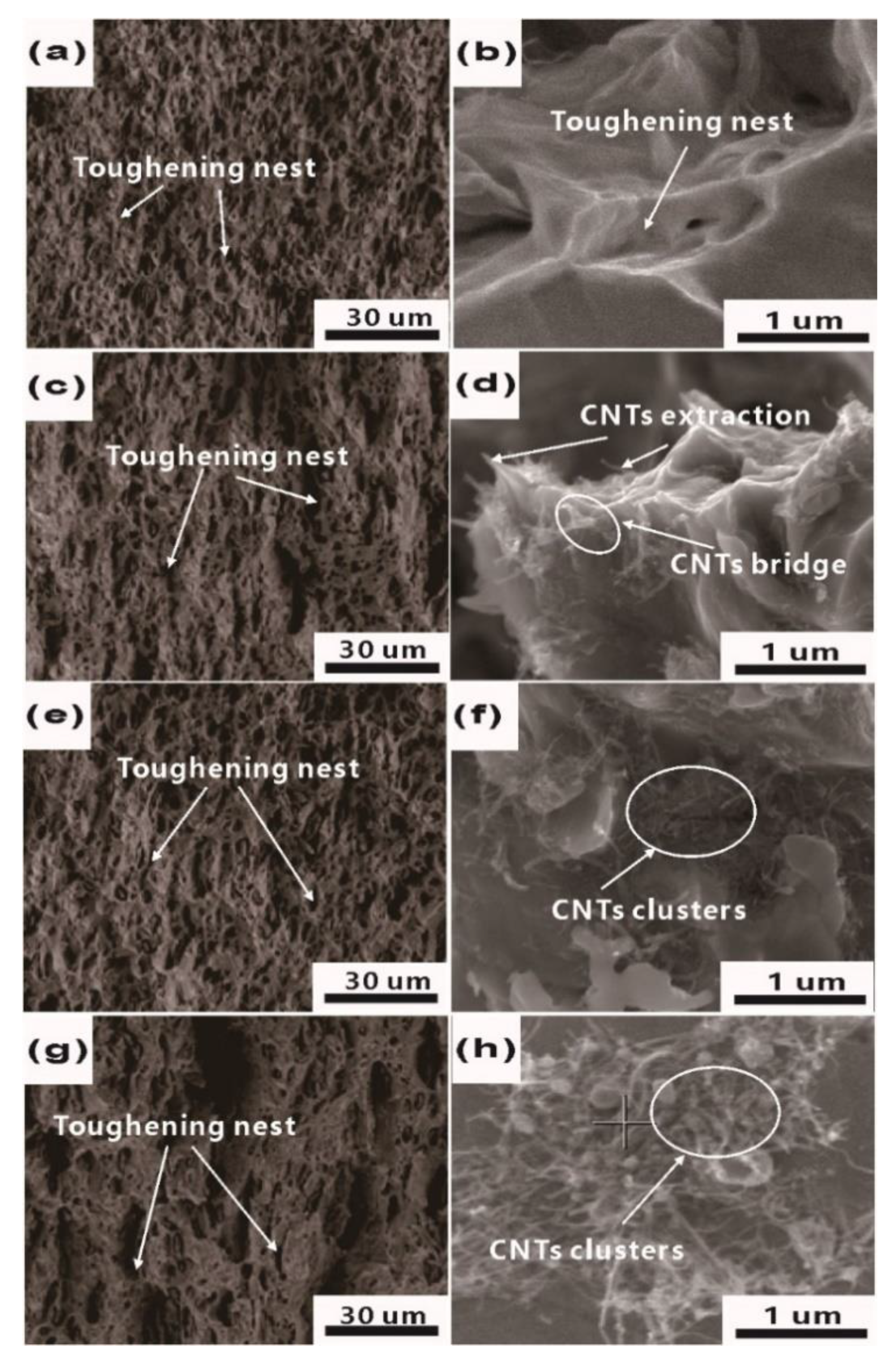 Materials 12 02203 g006